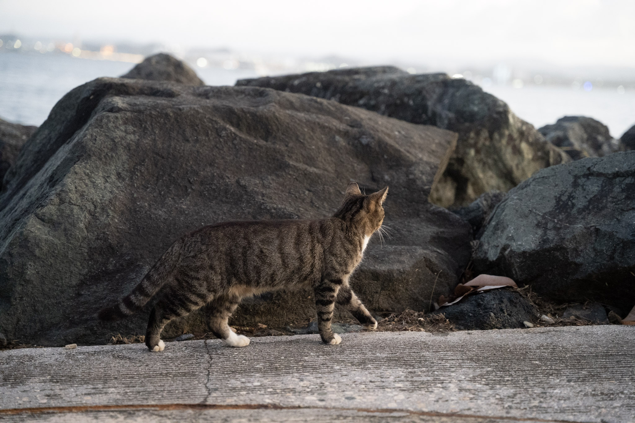 2022-12-24_San_Juan - foto 174