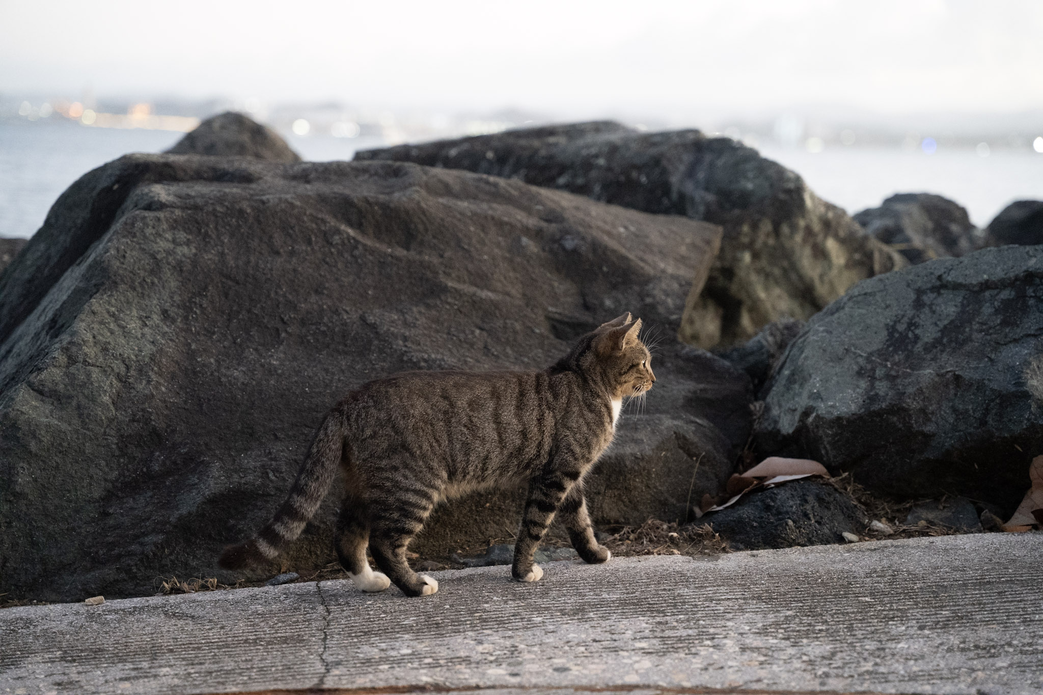 2022-12-24_San_Juan - foto 175