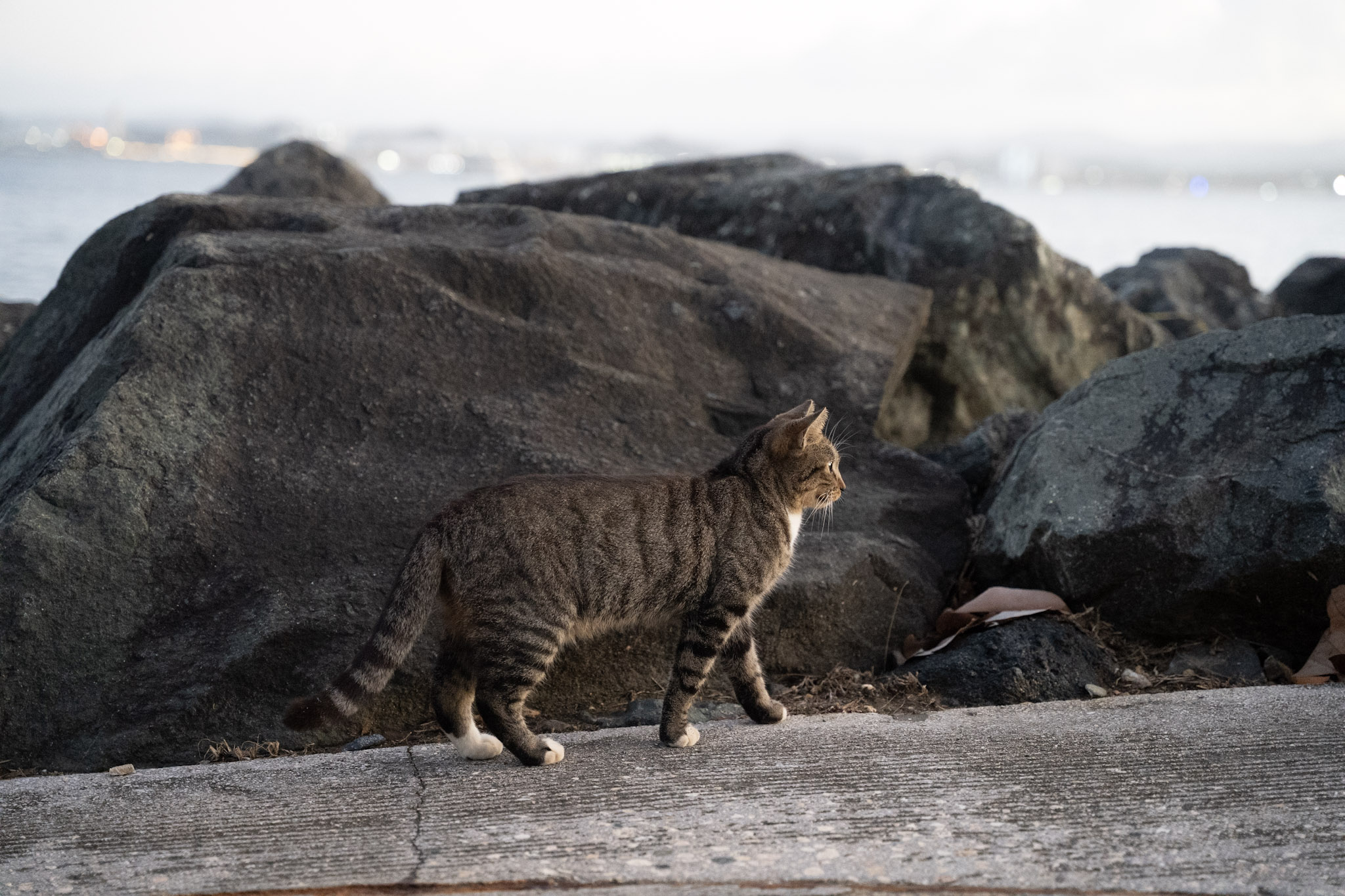 2022-12-24_San_Juan - foto 176