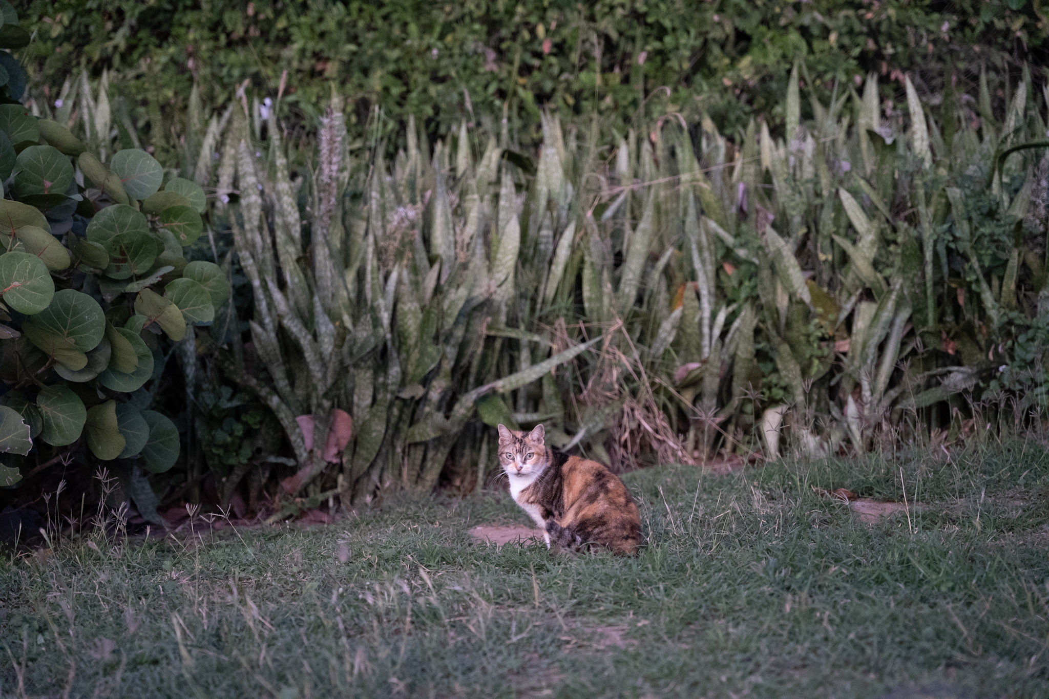 2022-12-24_San_Juan - foto 179