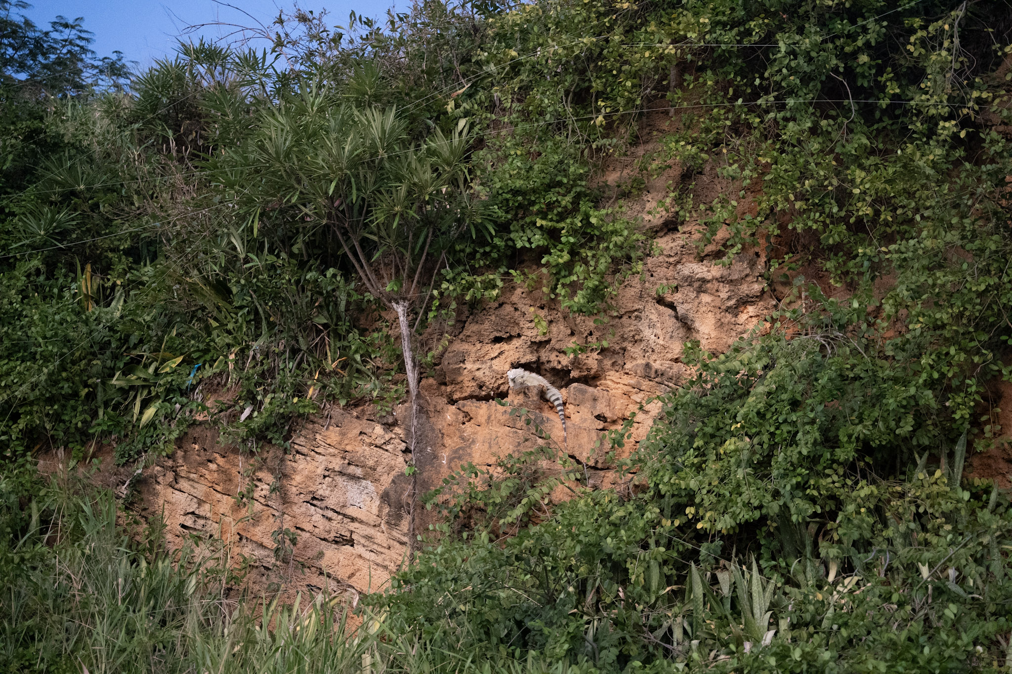 2022-12-24_San_Juan - foto 183