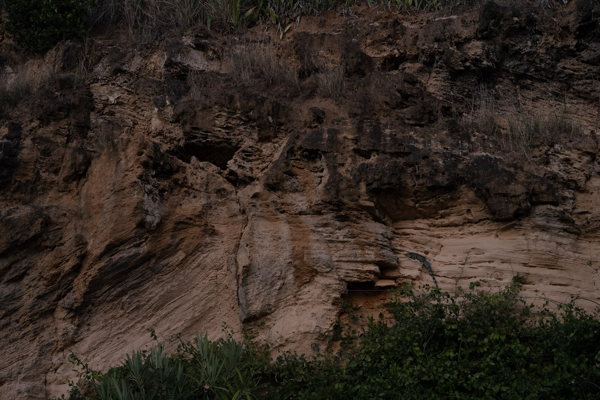 2022-12-24_San_Juan - foto 192