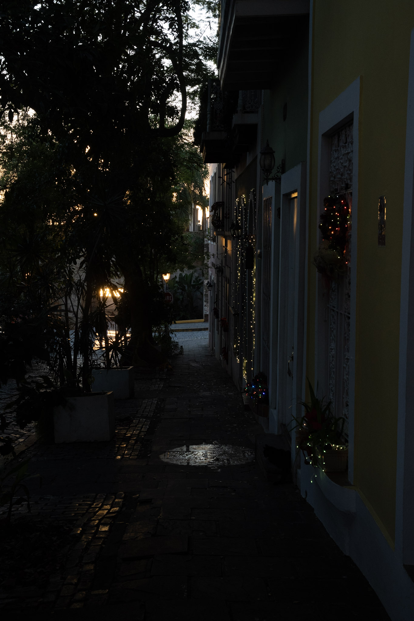 San Juan - foto 55