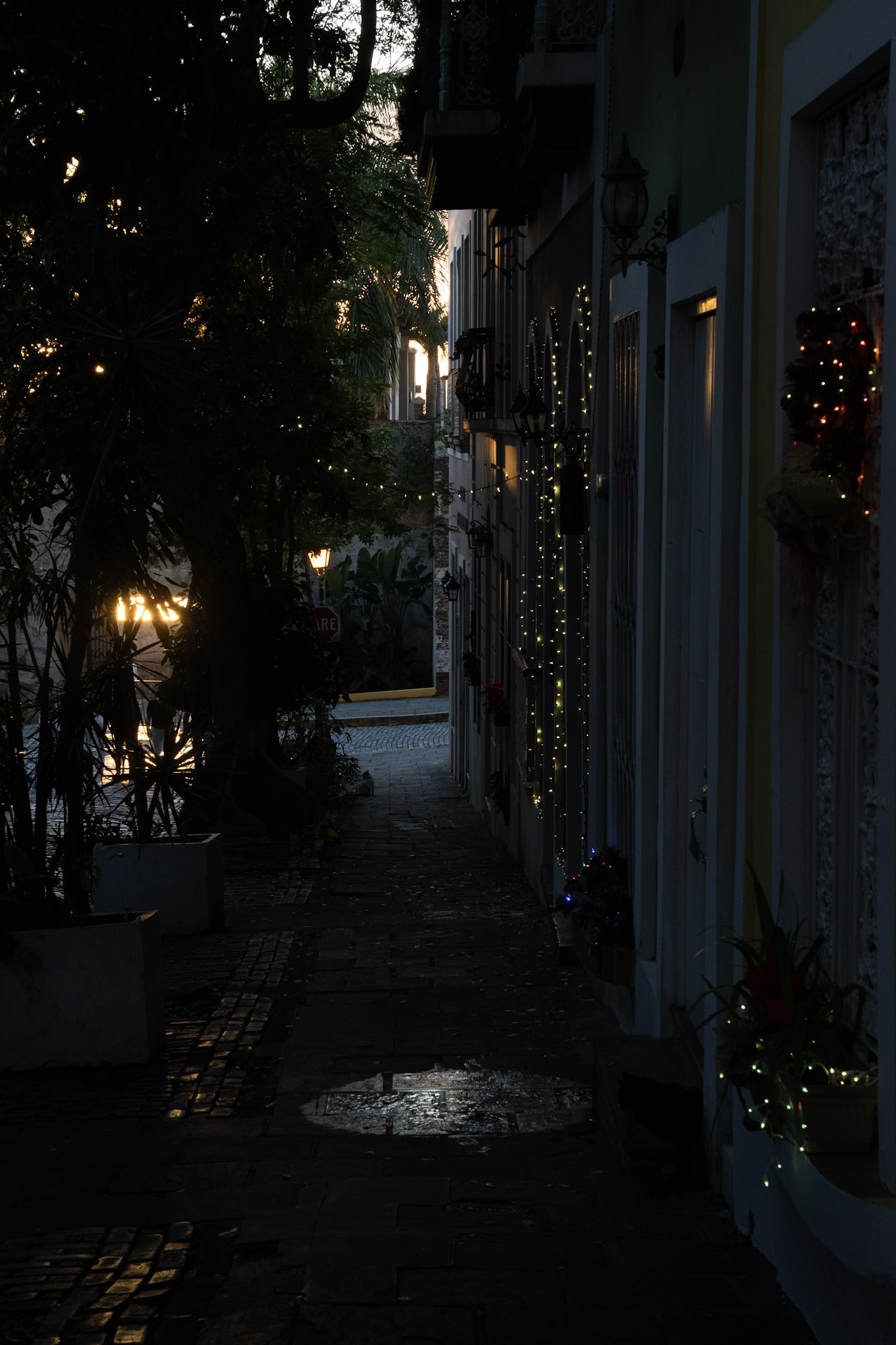 San Juan - foto 56