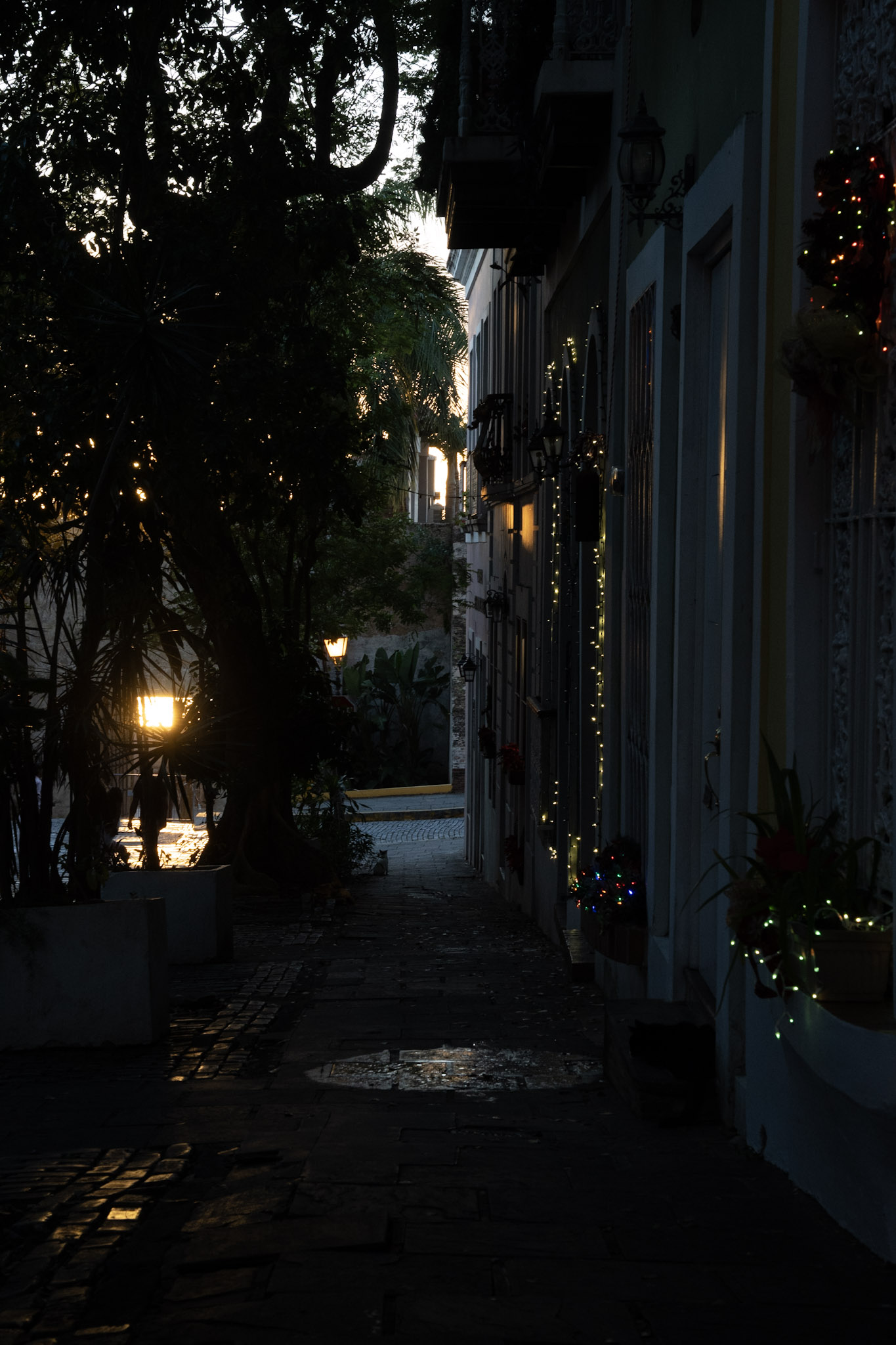 San Juan - foto 59