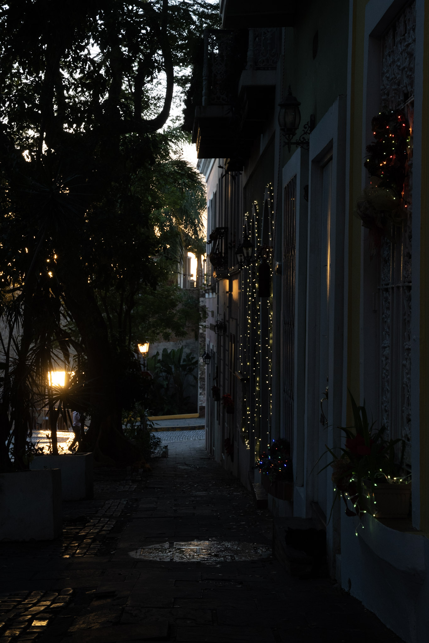 San Juan - foto 61