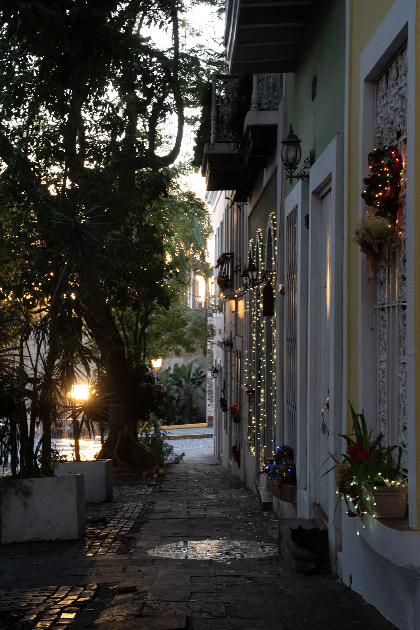 San Juan - foto 62