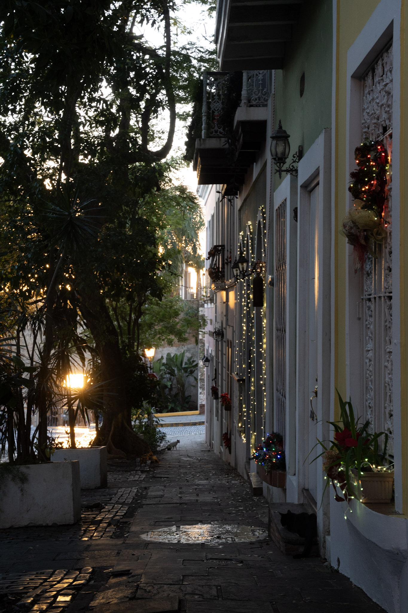 San Juan - foto 63