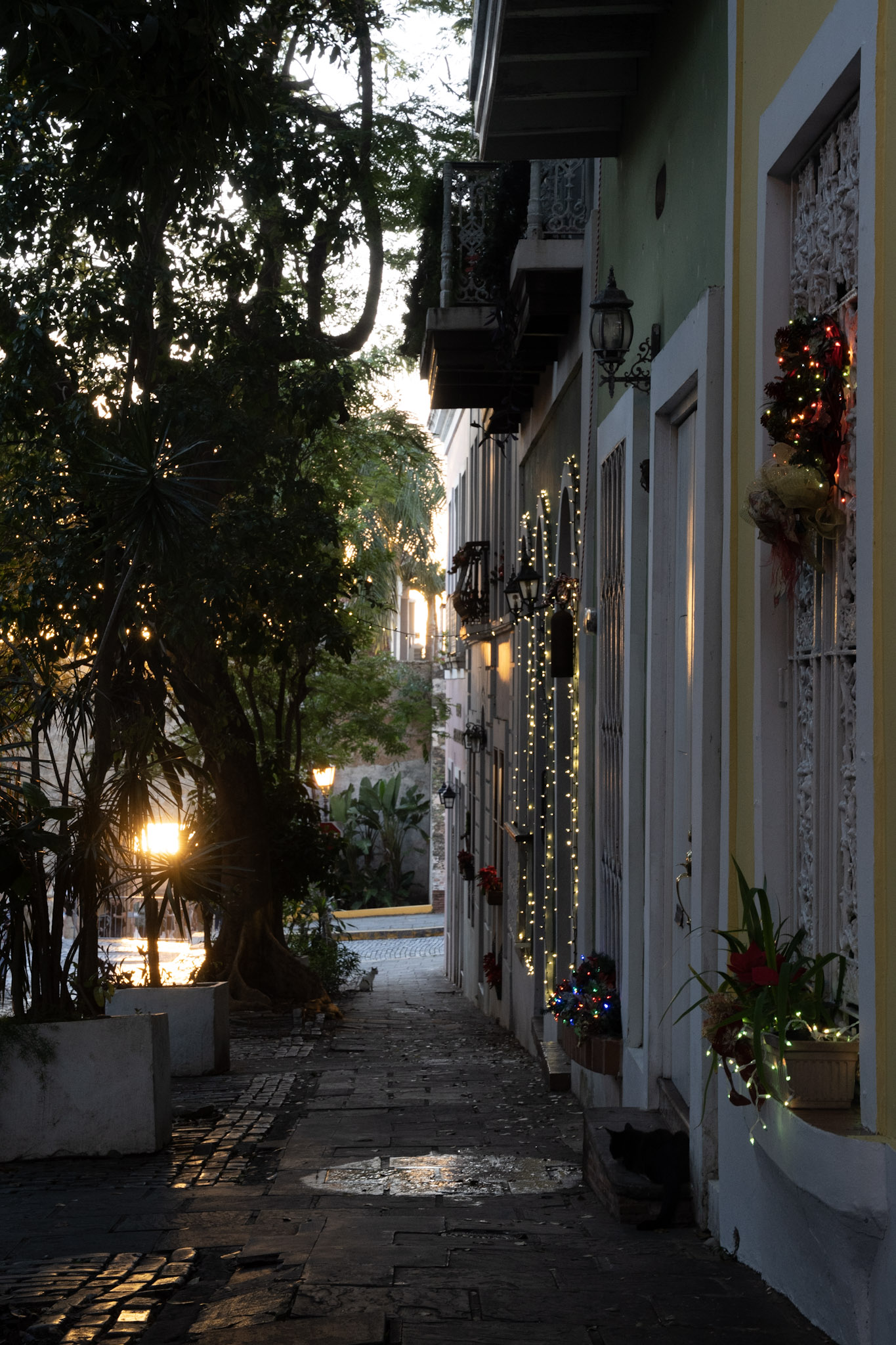 San Juan - foto 65