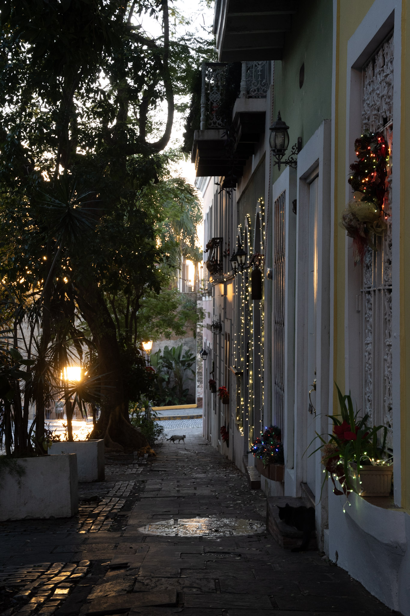 San Juan - foto 66