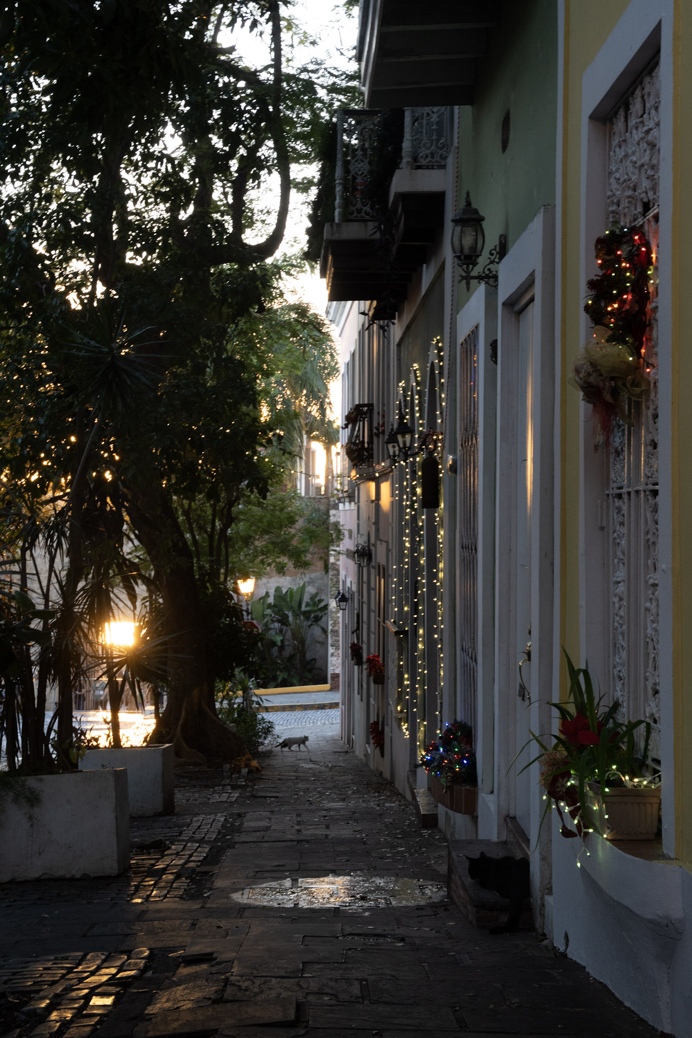 San Juan - foto 67