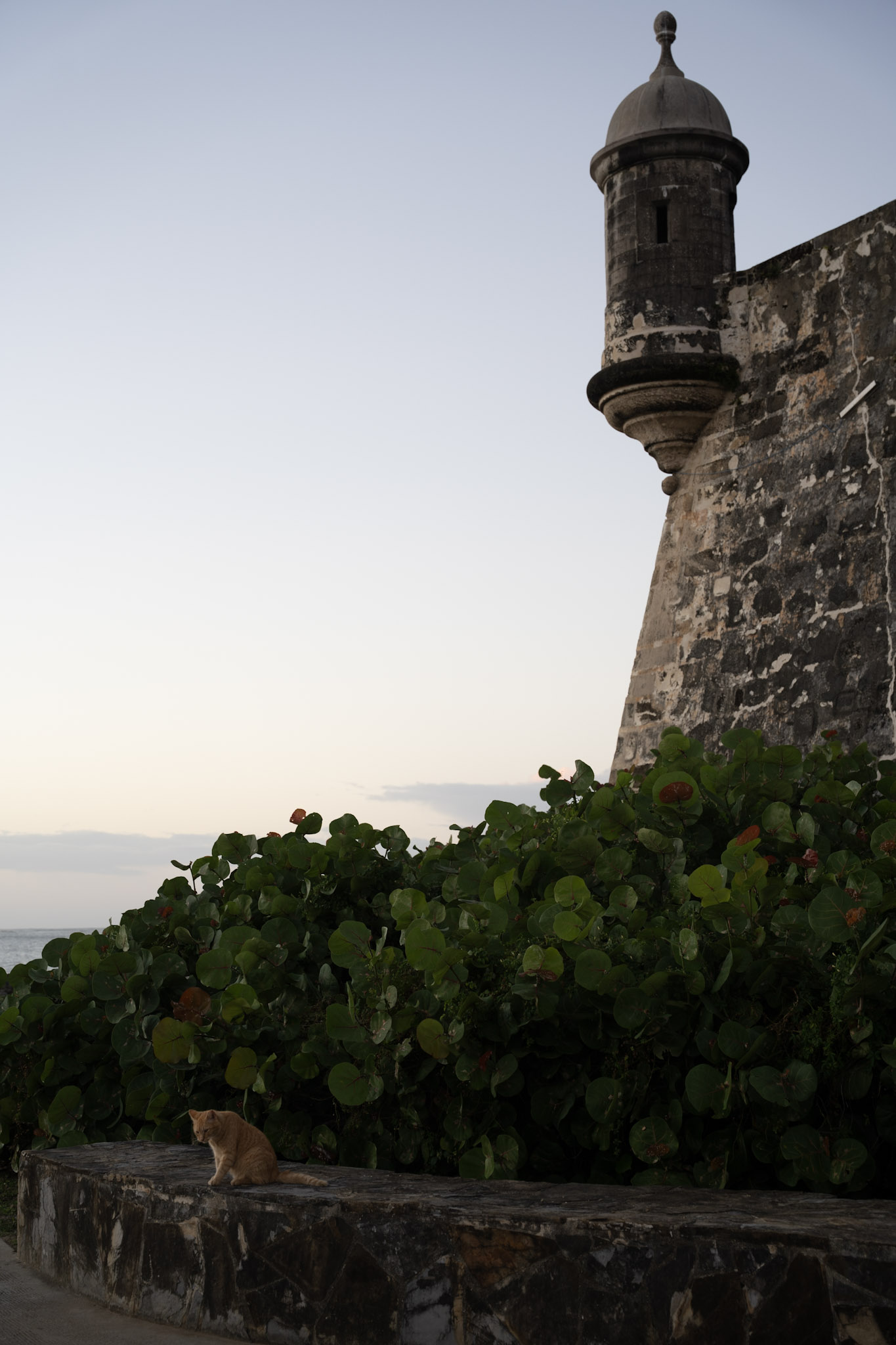 San Juan - foto 115