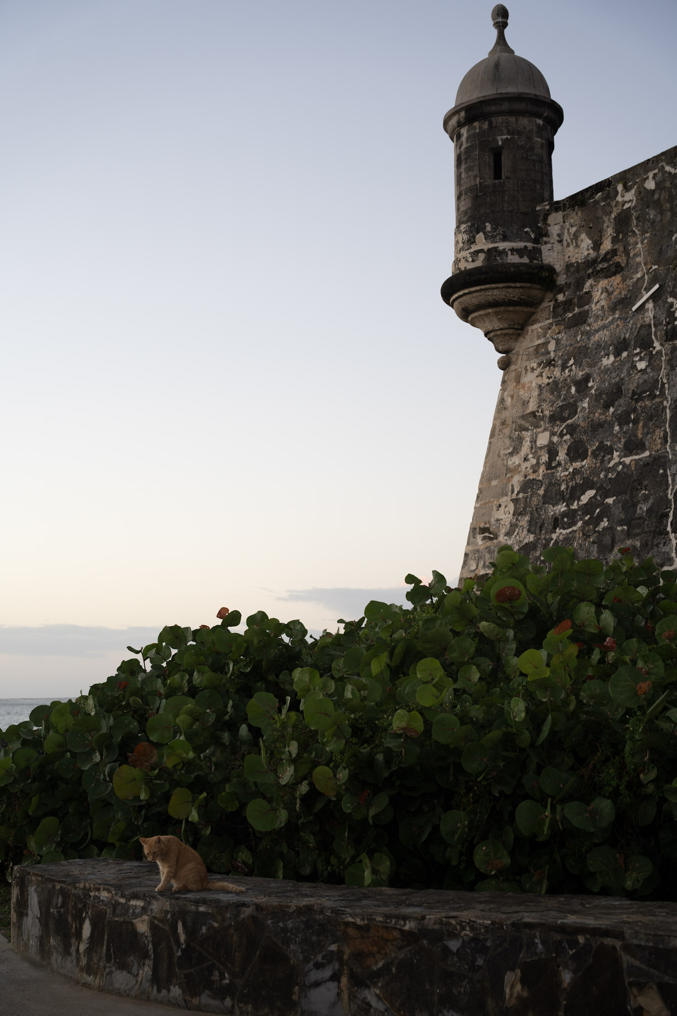 San Juan - foto 116