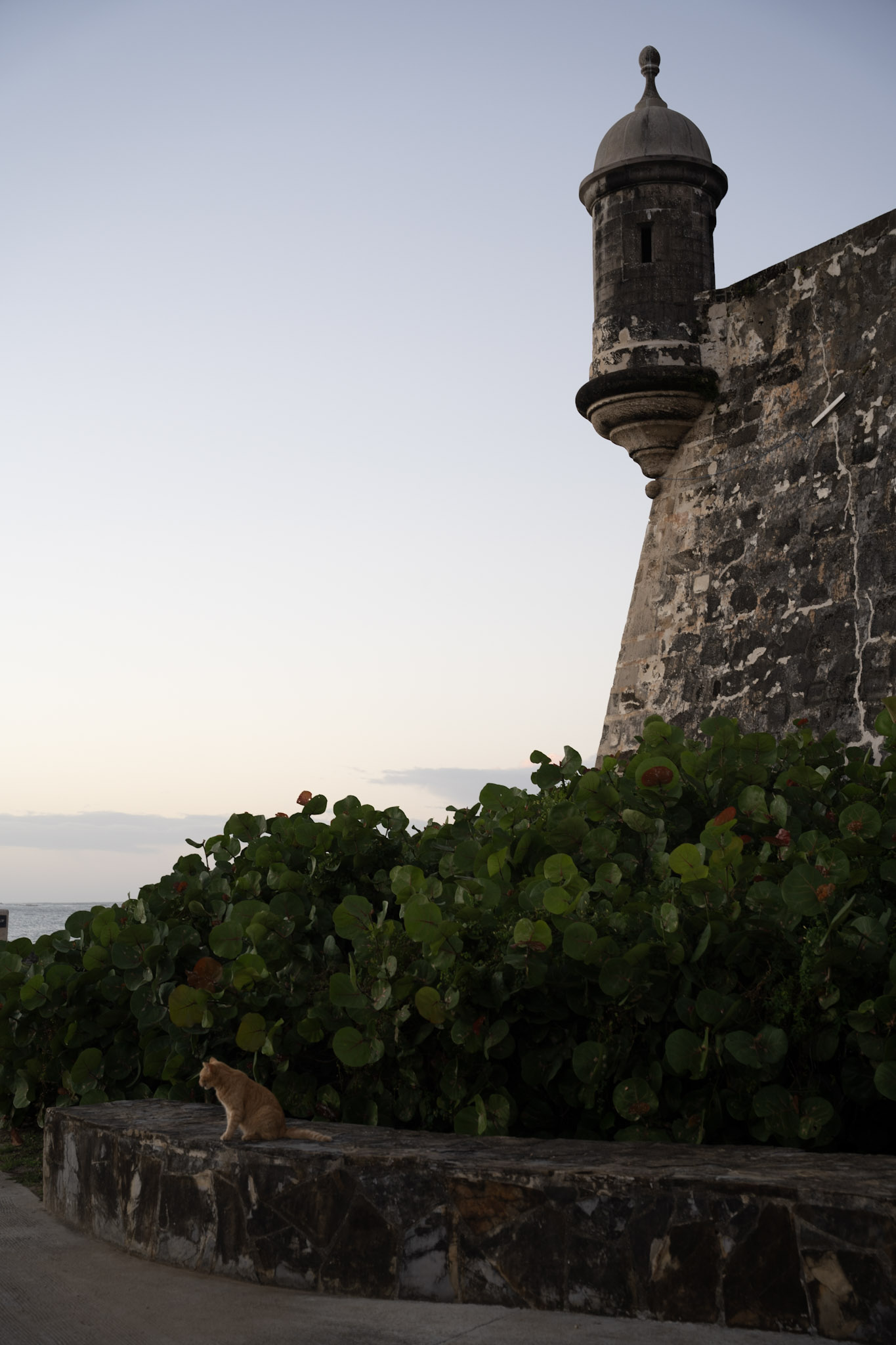 San Juan - foto 117
