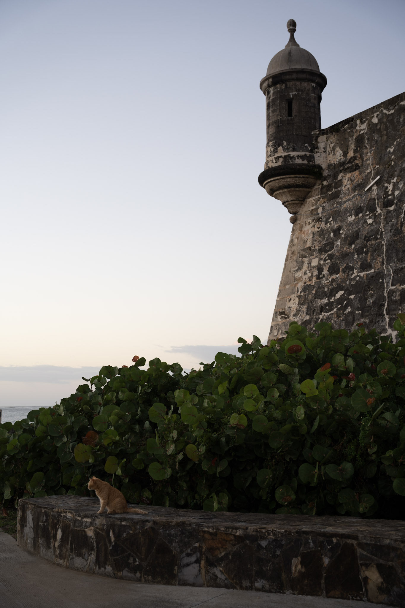 San Juan - foto 118