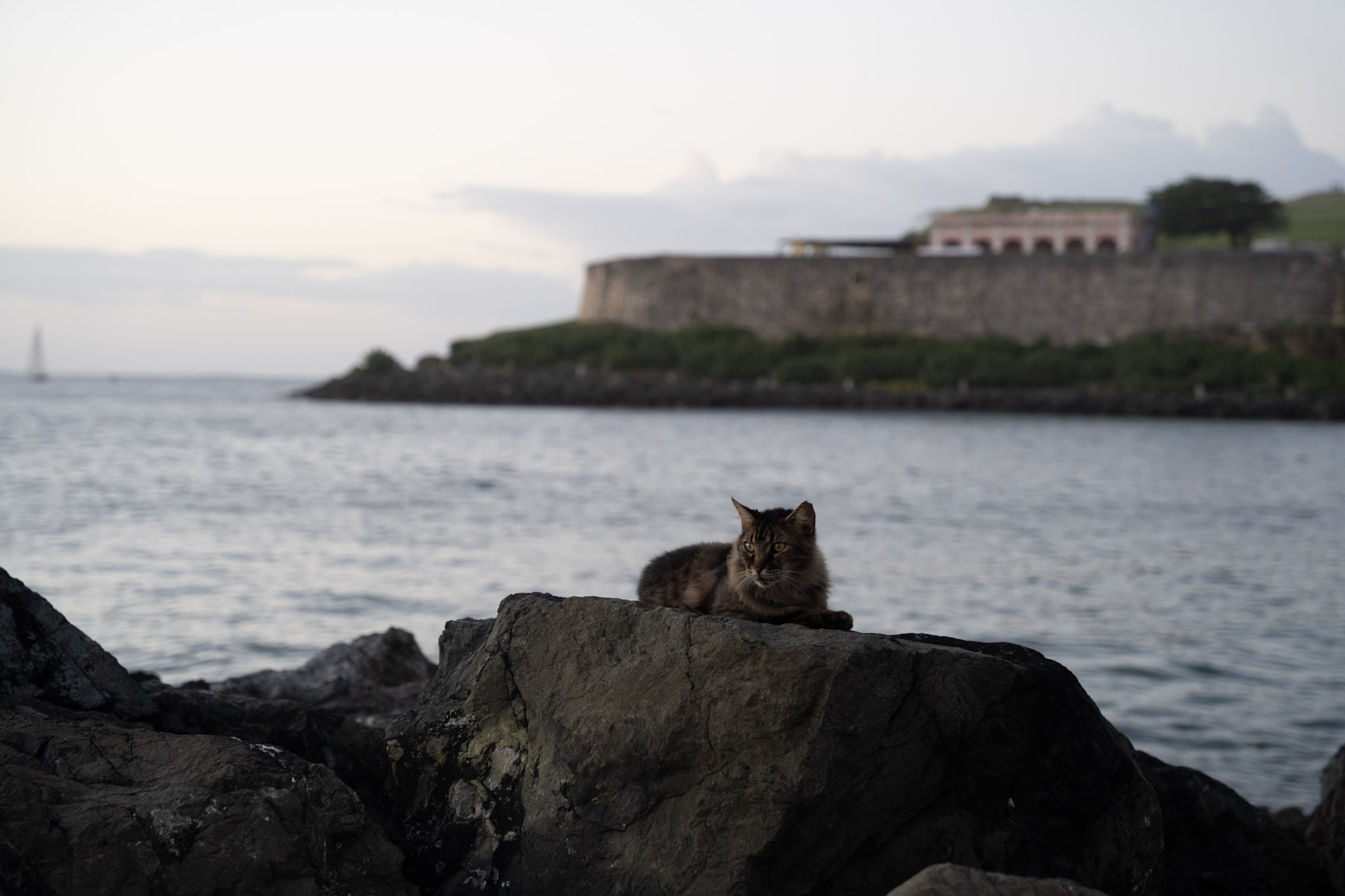 San Juan - foto 149