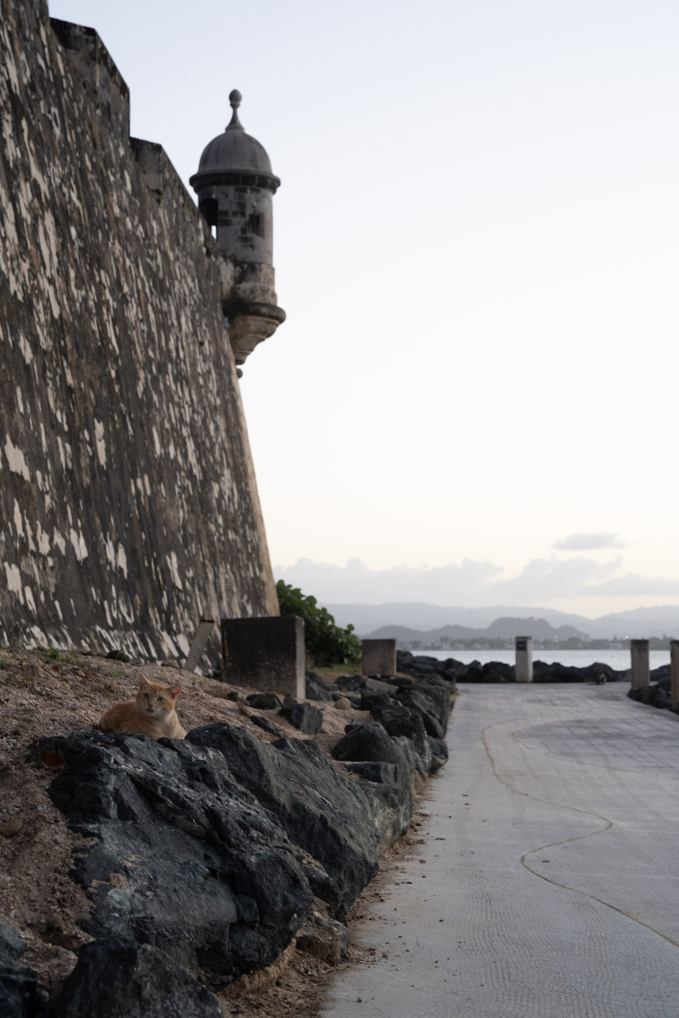San Juan - foto 150