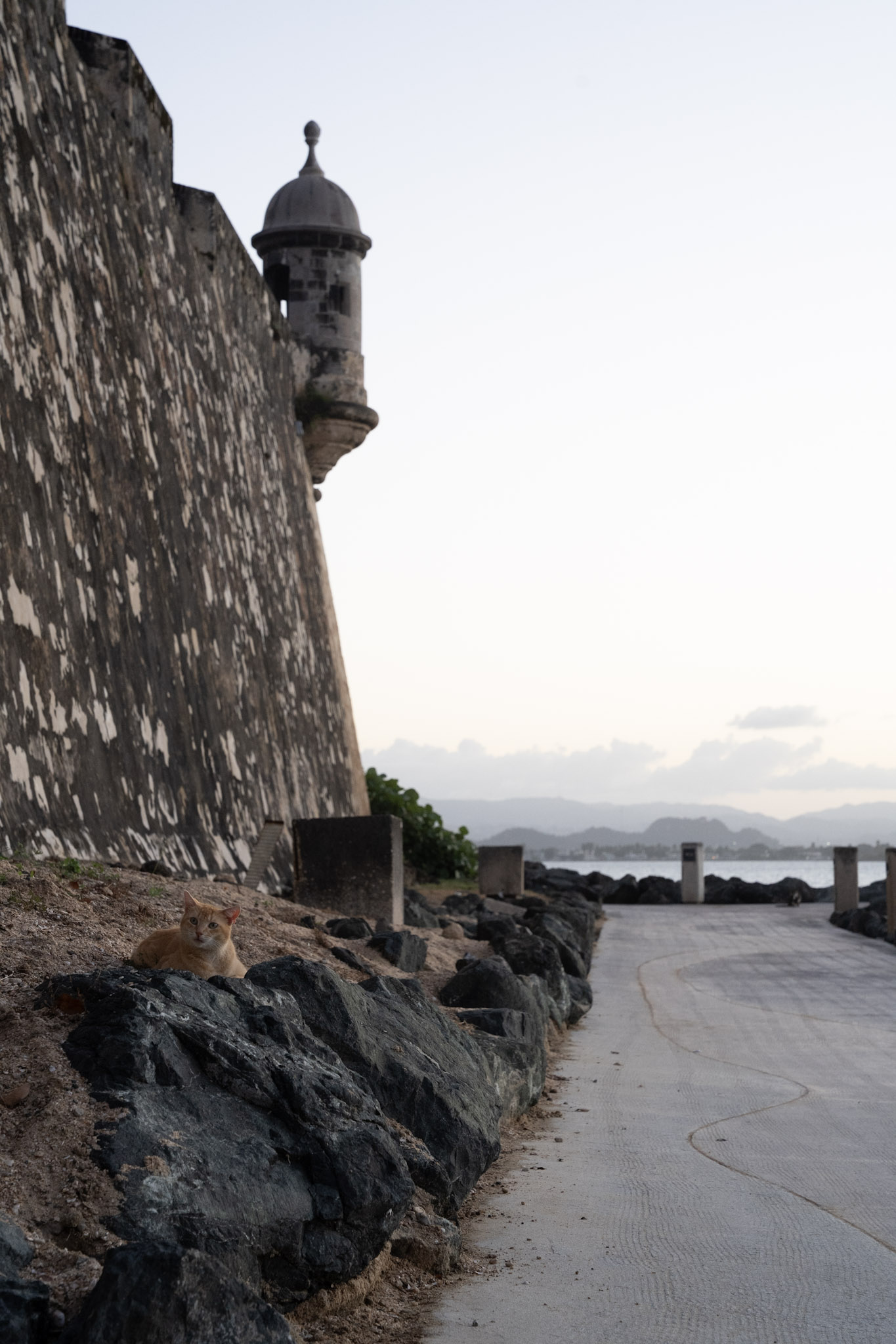 San Juan - foto 151