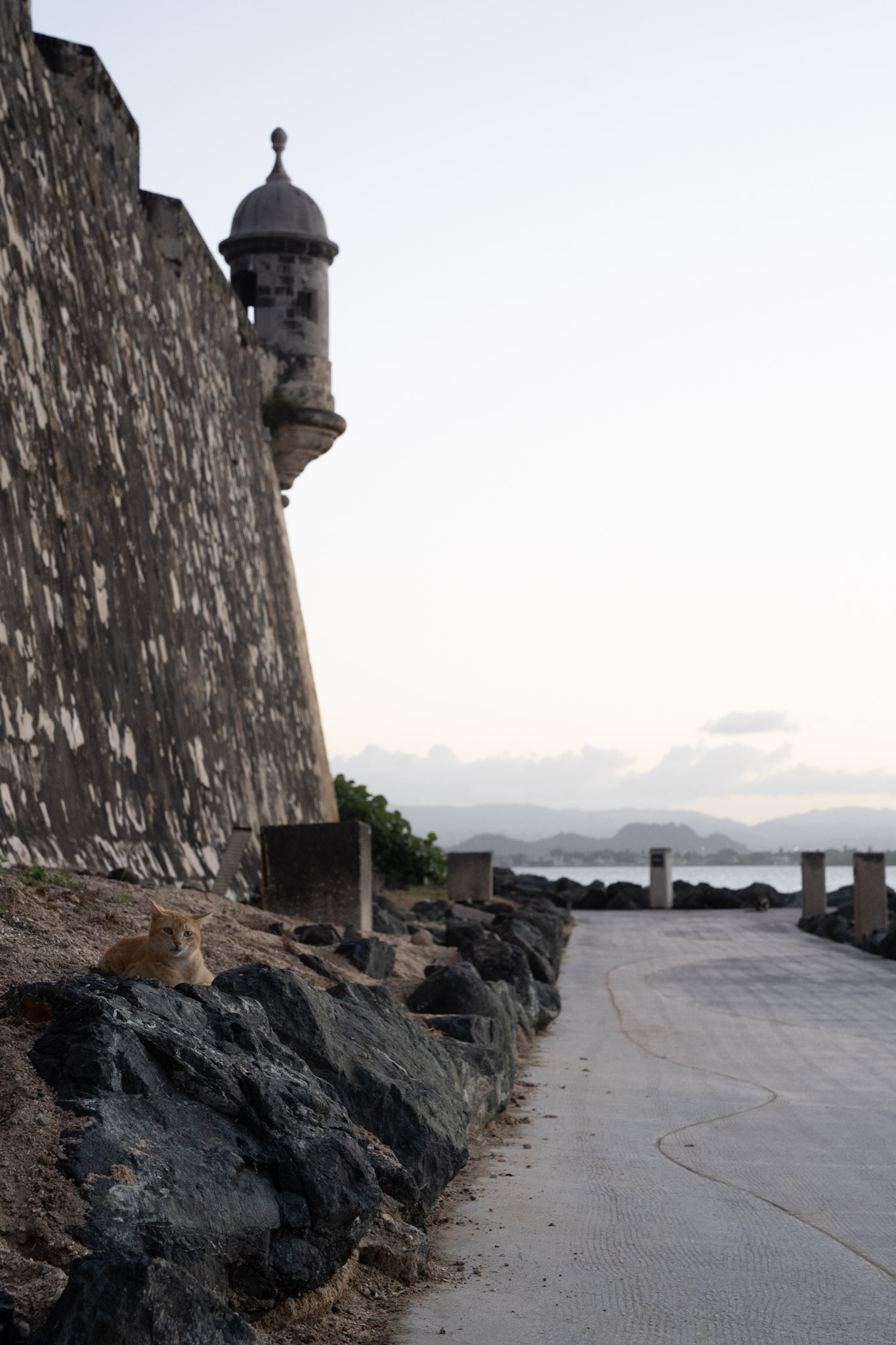 San Juan - foto 152