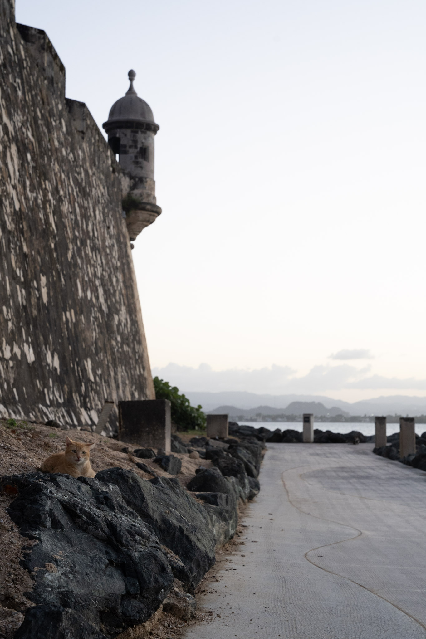 San Juan - foto 153
