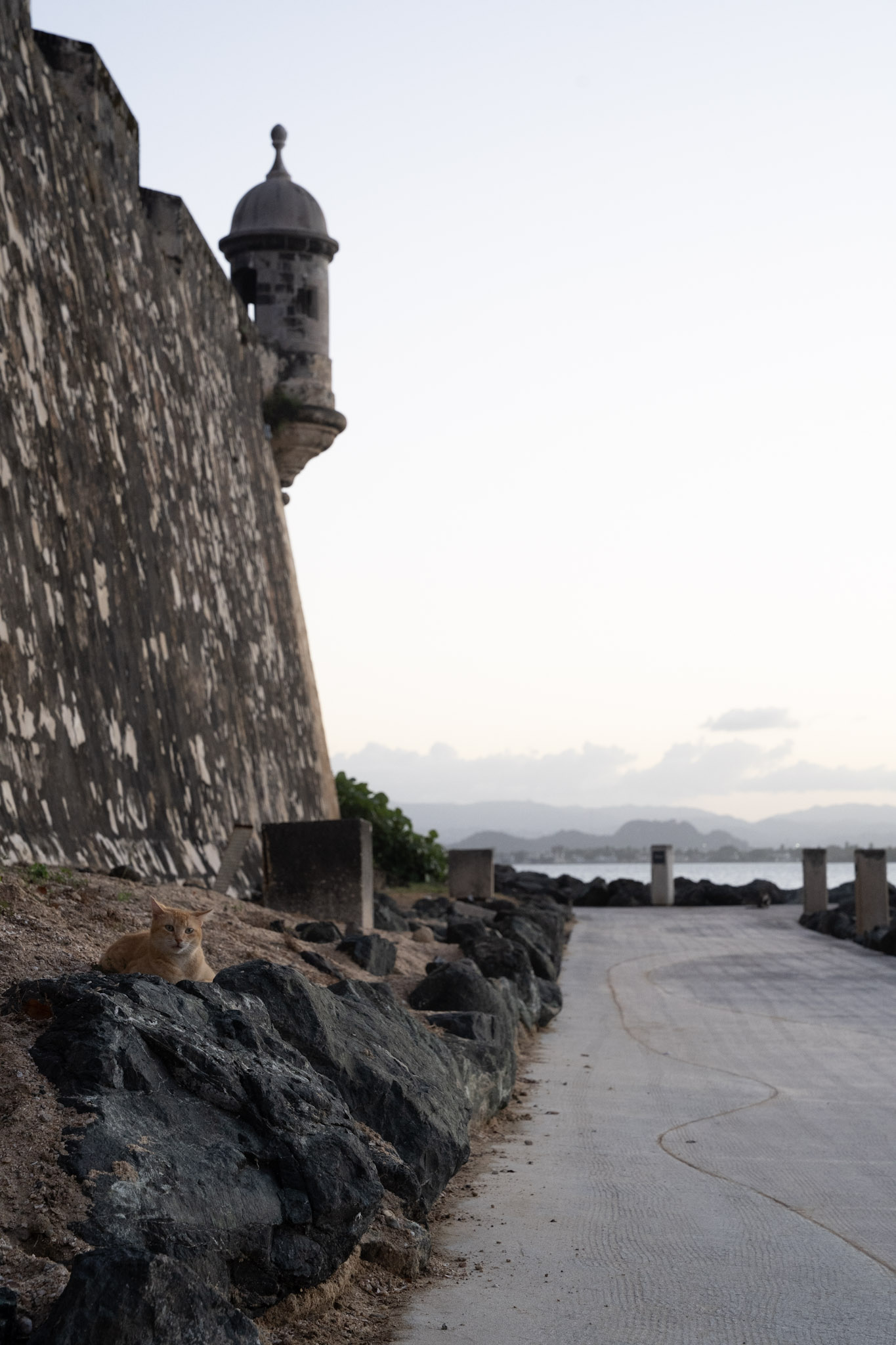 San Juan - foto 155