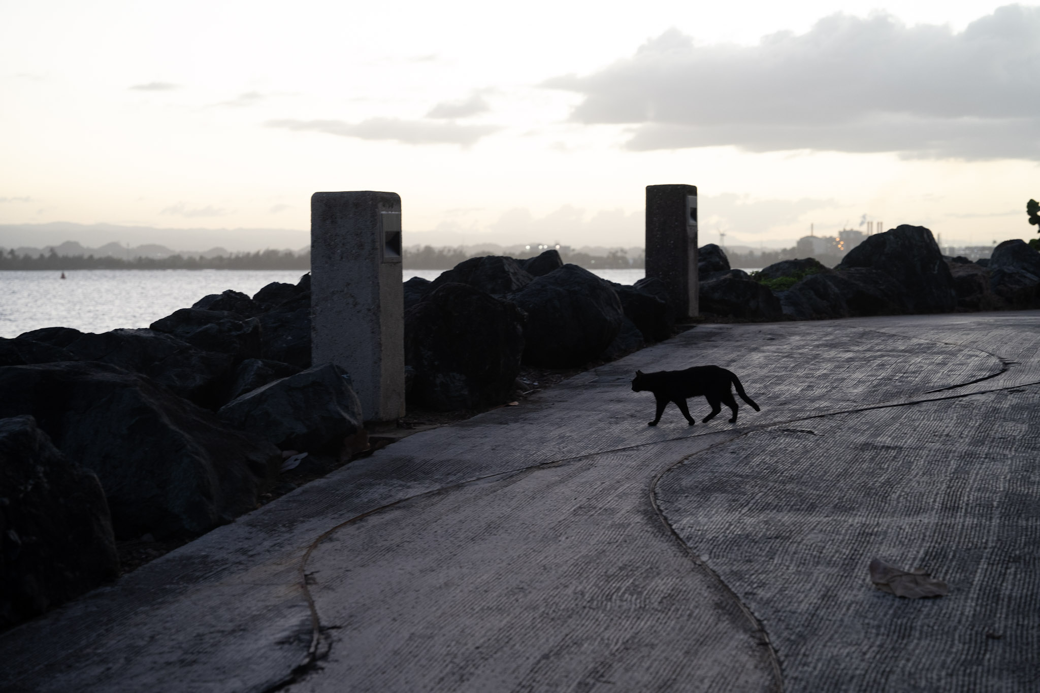 San Juan - foto 164