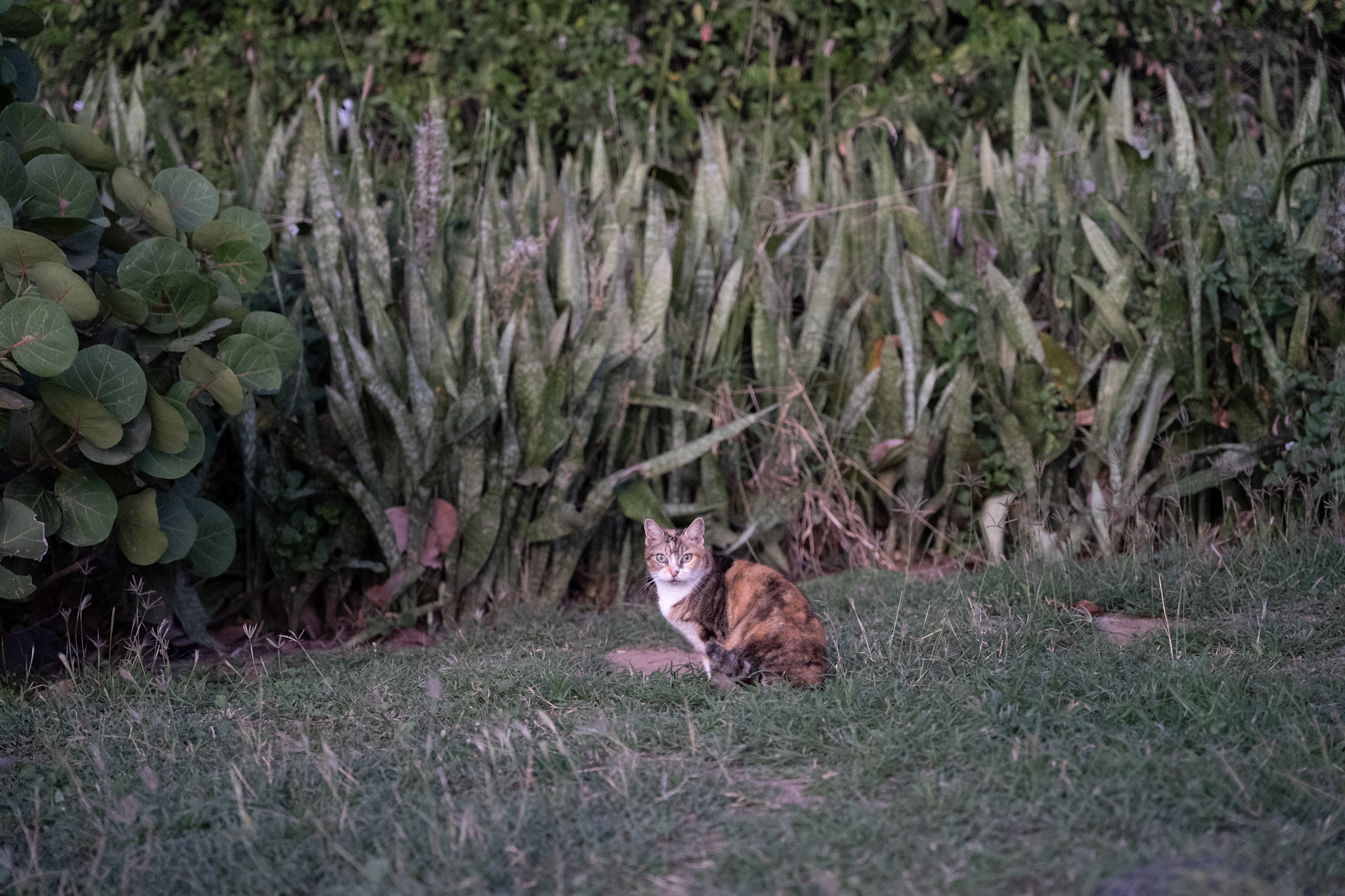 San Juan - foto 177