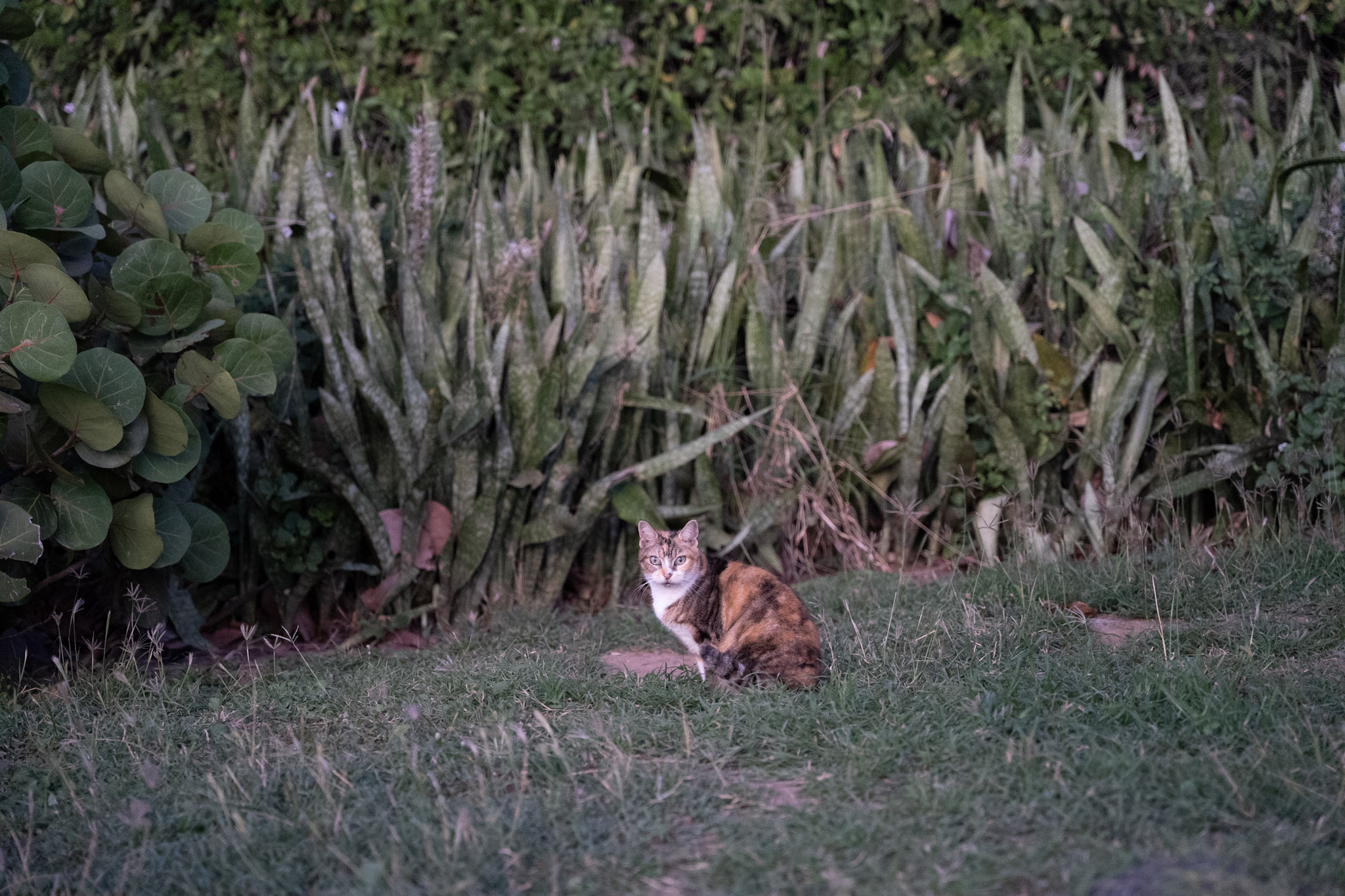 San Juan - foto 178