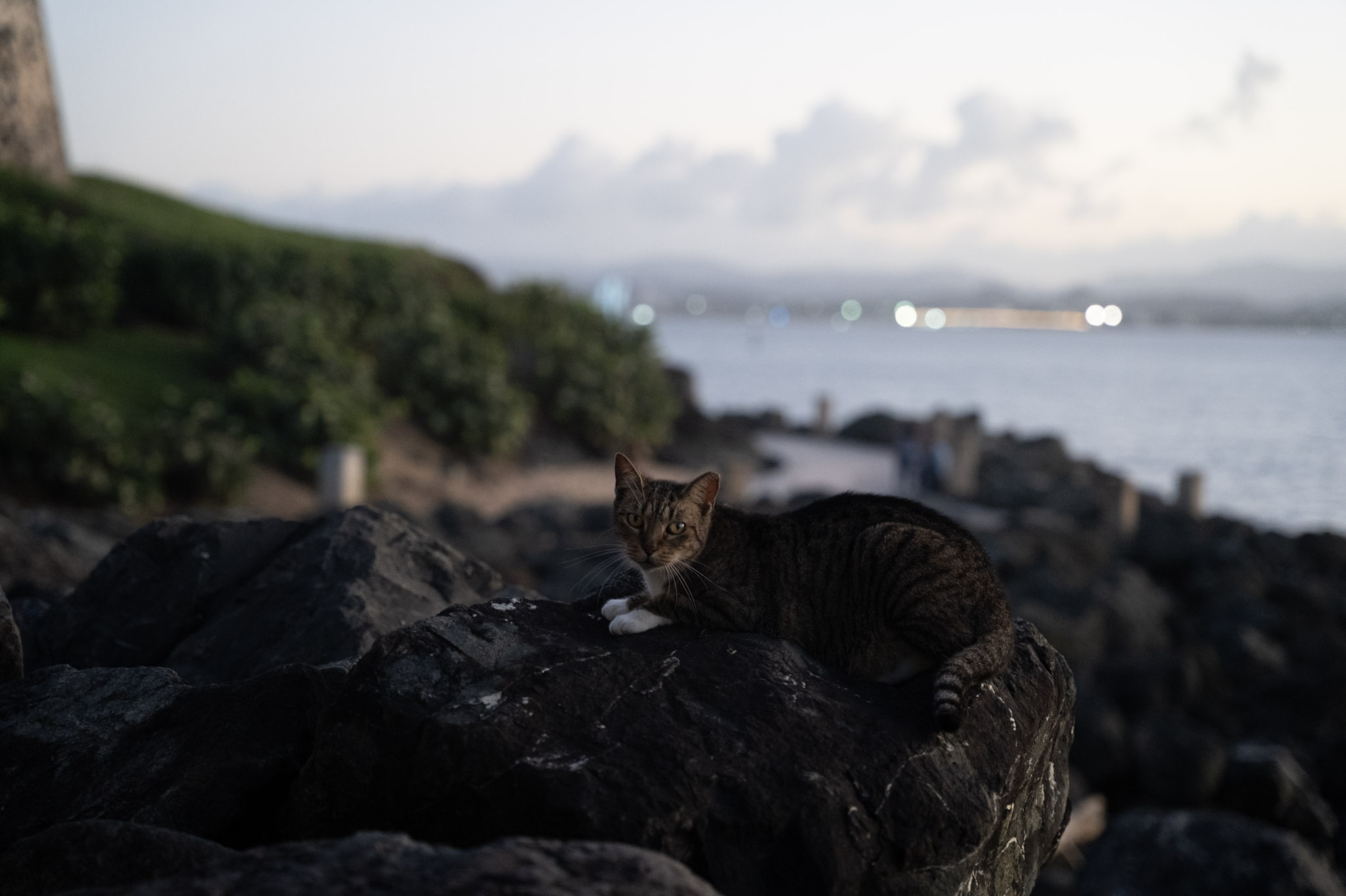 San Juan - foto 180
