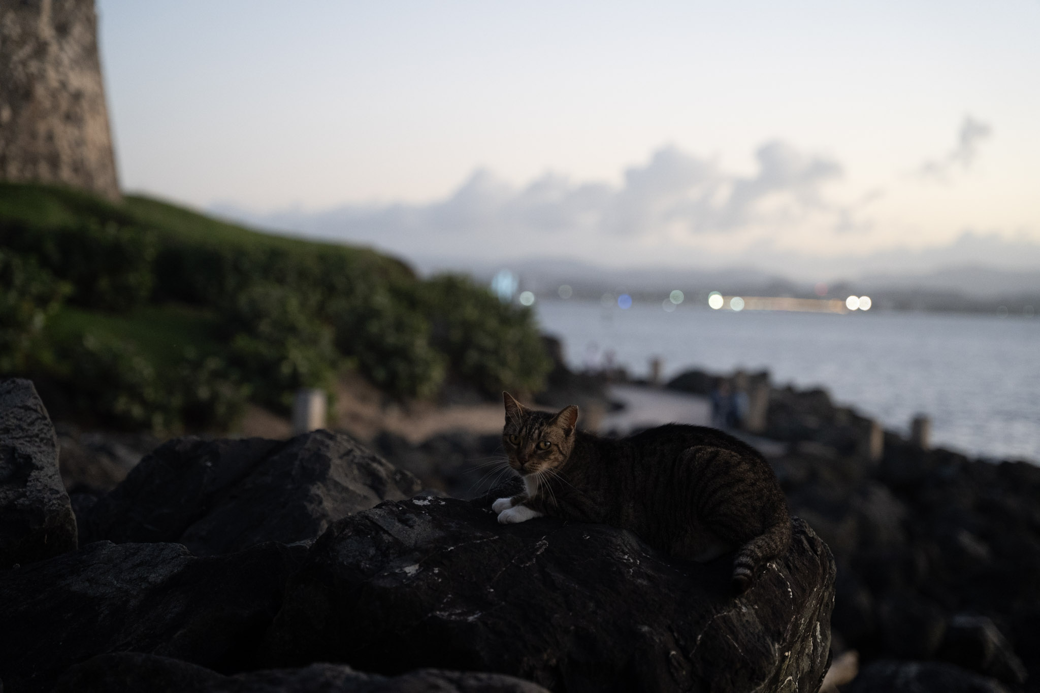 San Juan - foto 181