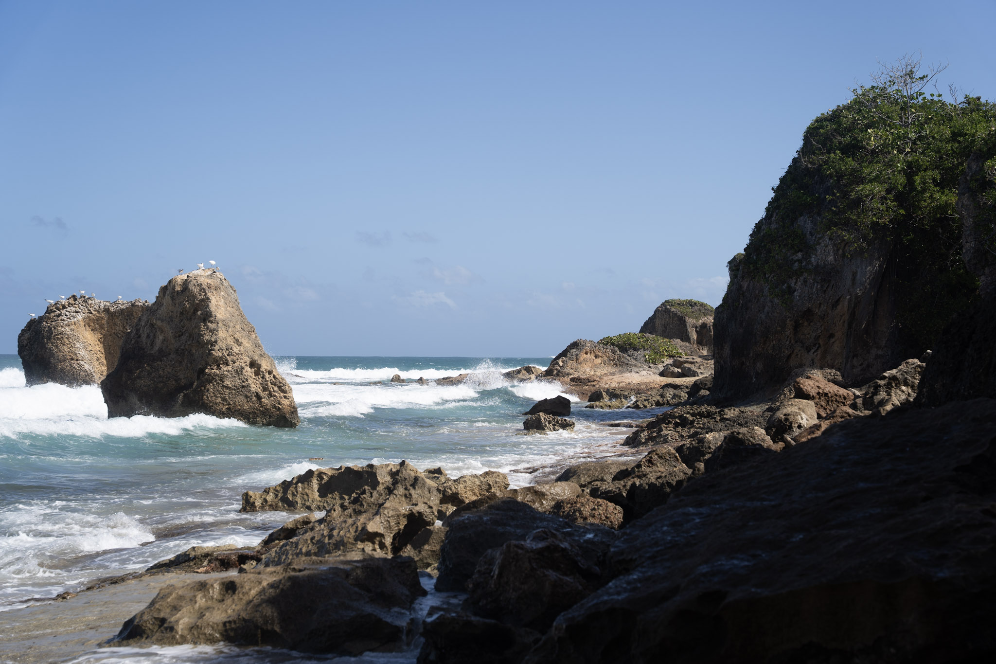 2022-12-26_Survivor_Beach - foto 8