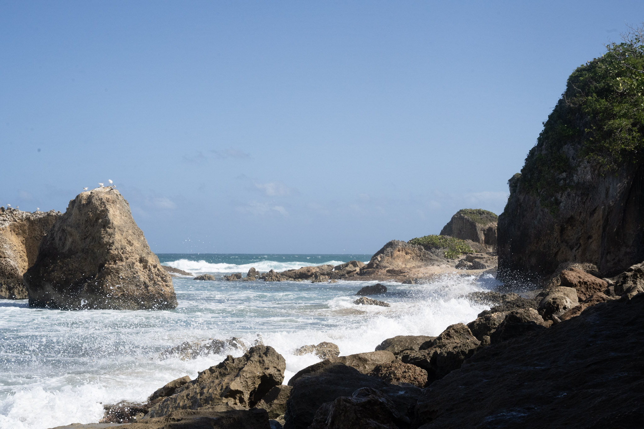 2022-12-26_Survivor_Beach - foto 24