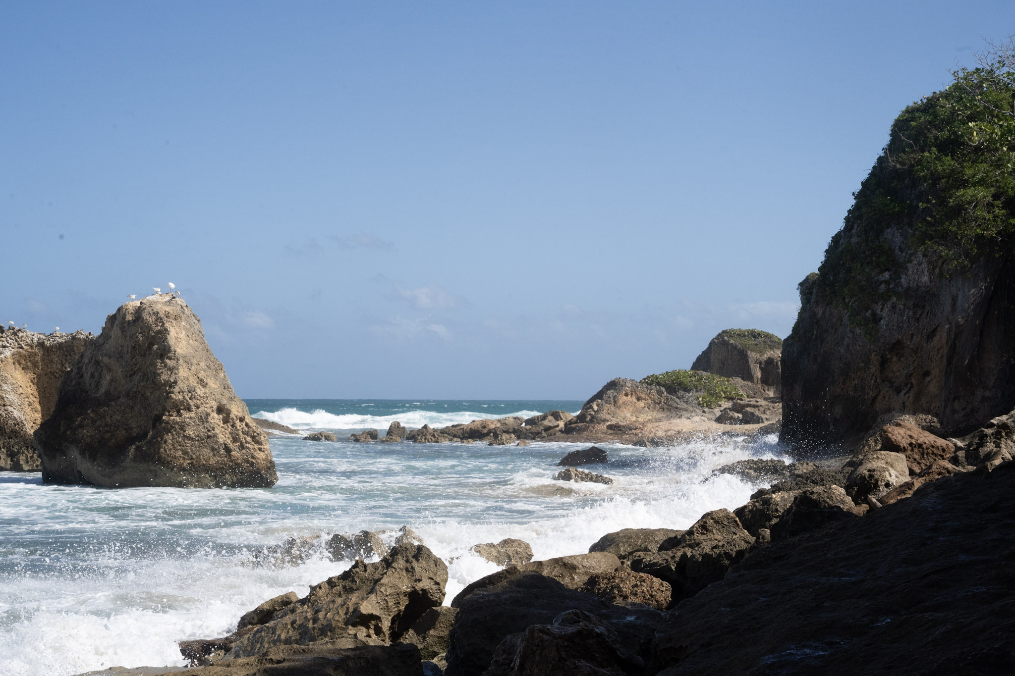 2022-12-26_Survivor_Beach - foto 25