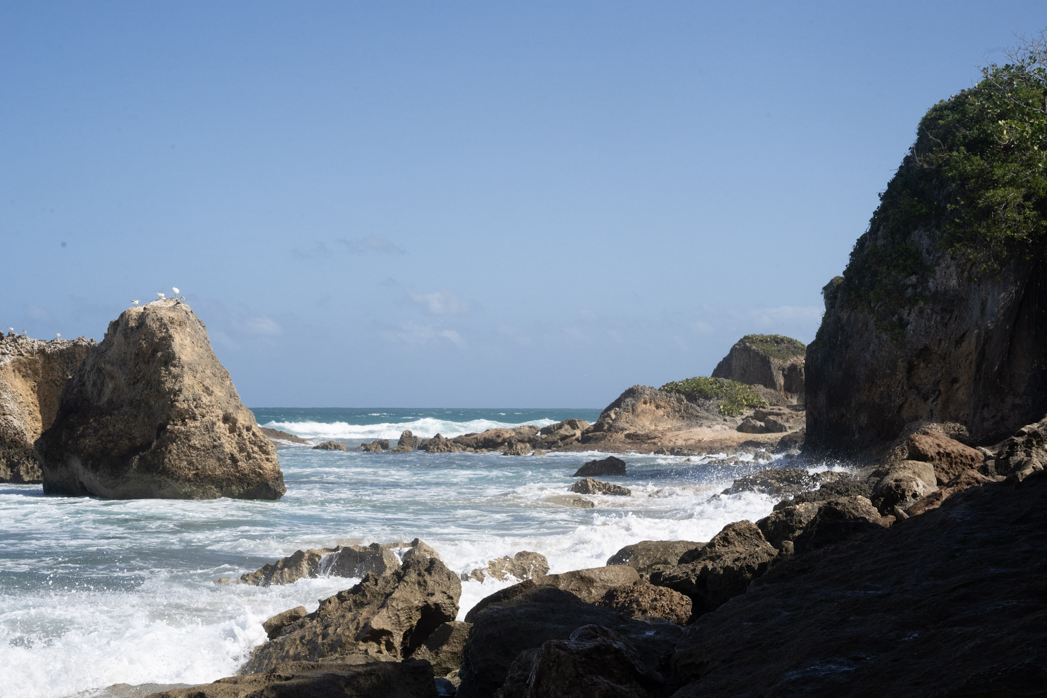 2022-12-26_Survivor_Beach - foto 26