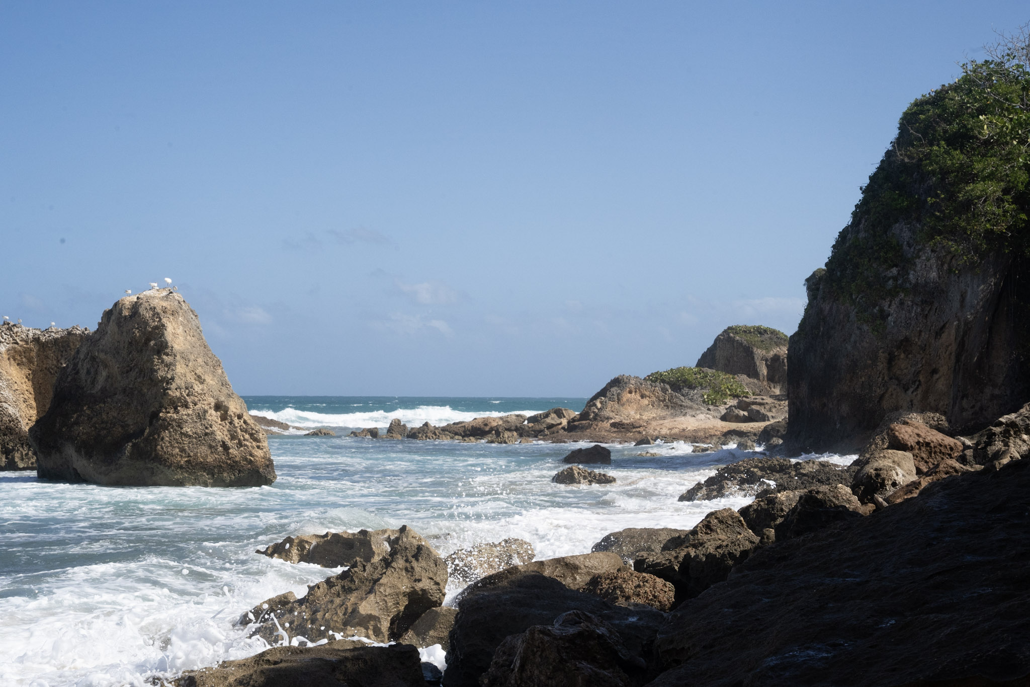 2022-12-26_Survivor_Beach - foto 28