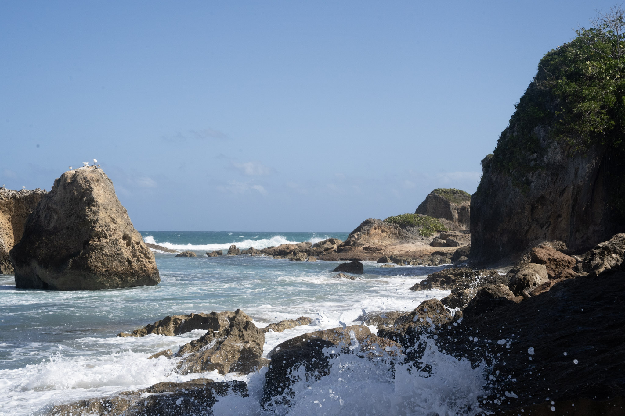 2022-12-26_Survivor_Beach - foto 30