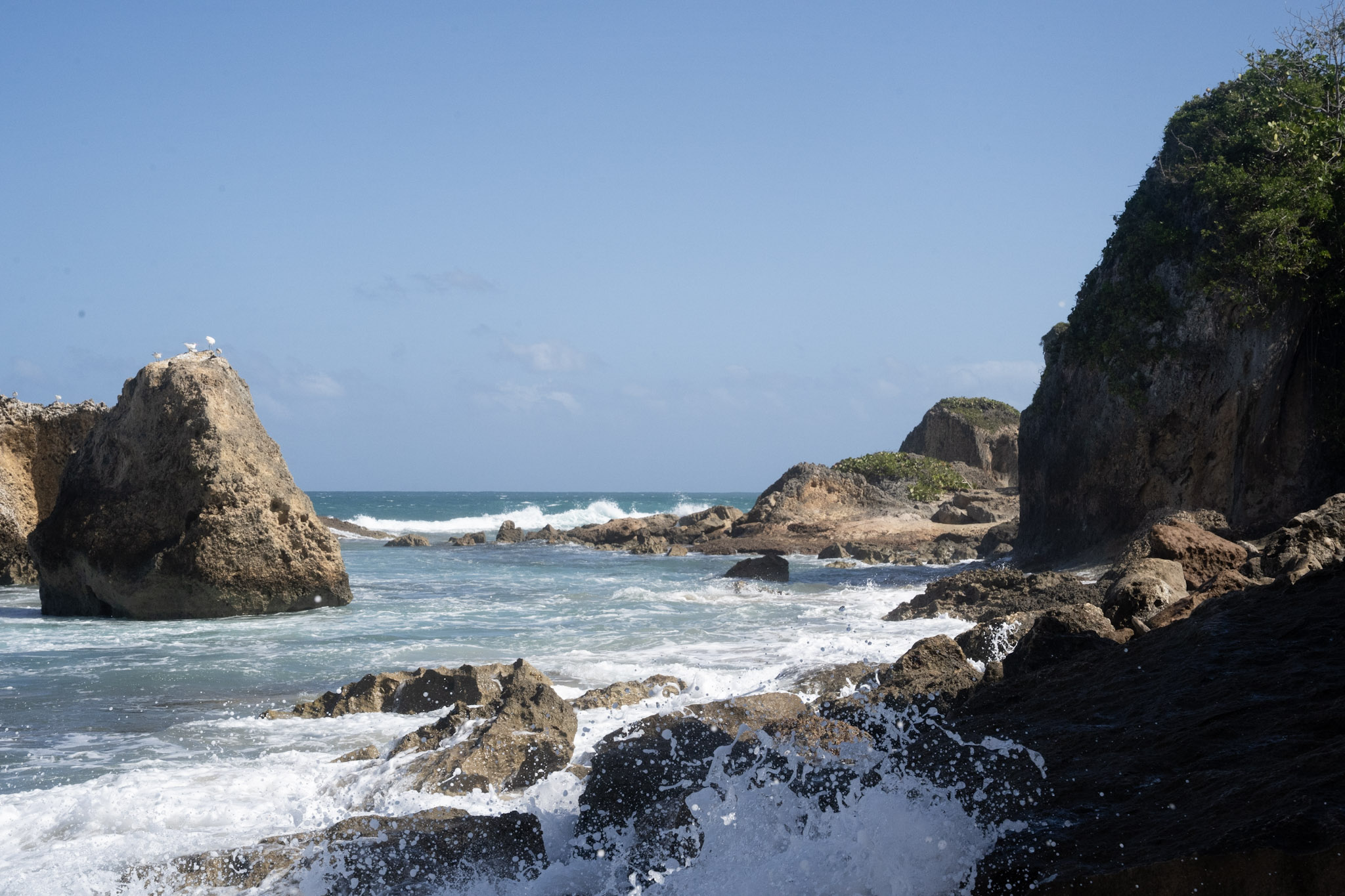 2022-12-26_Survivor_Beach - foto 31