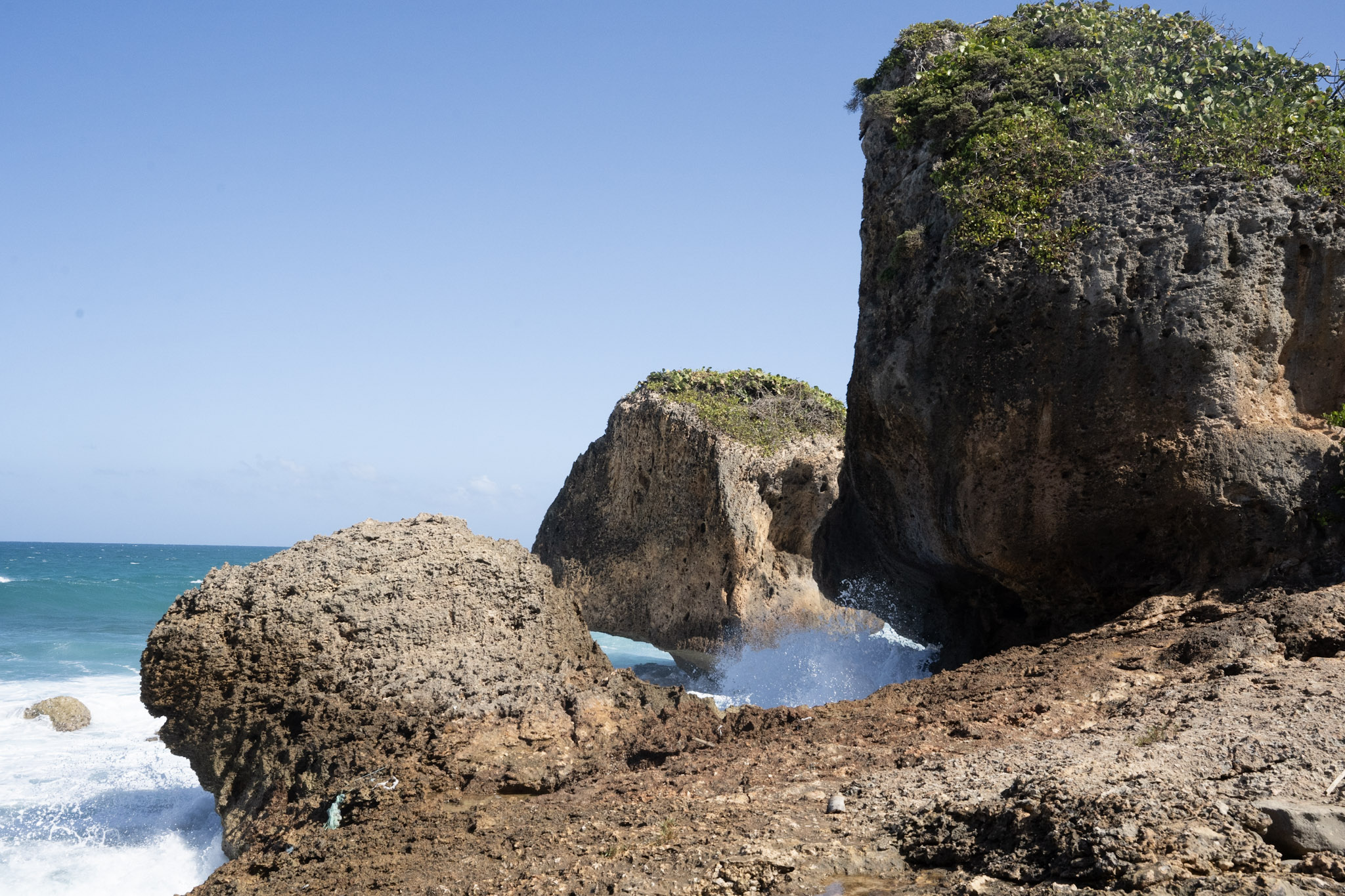 2022-12-26_Survivor_Beach - foto 32