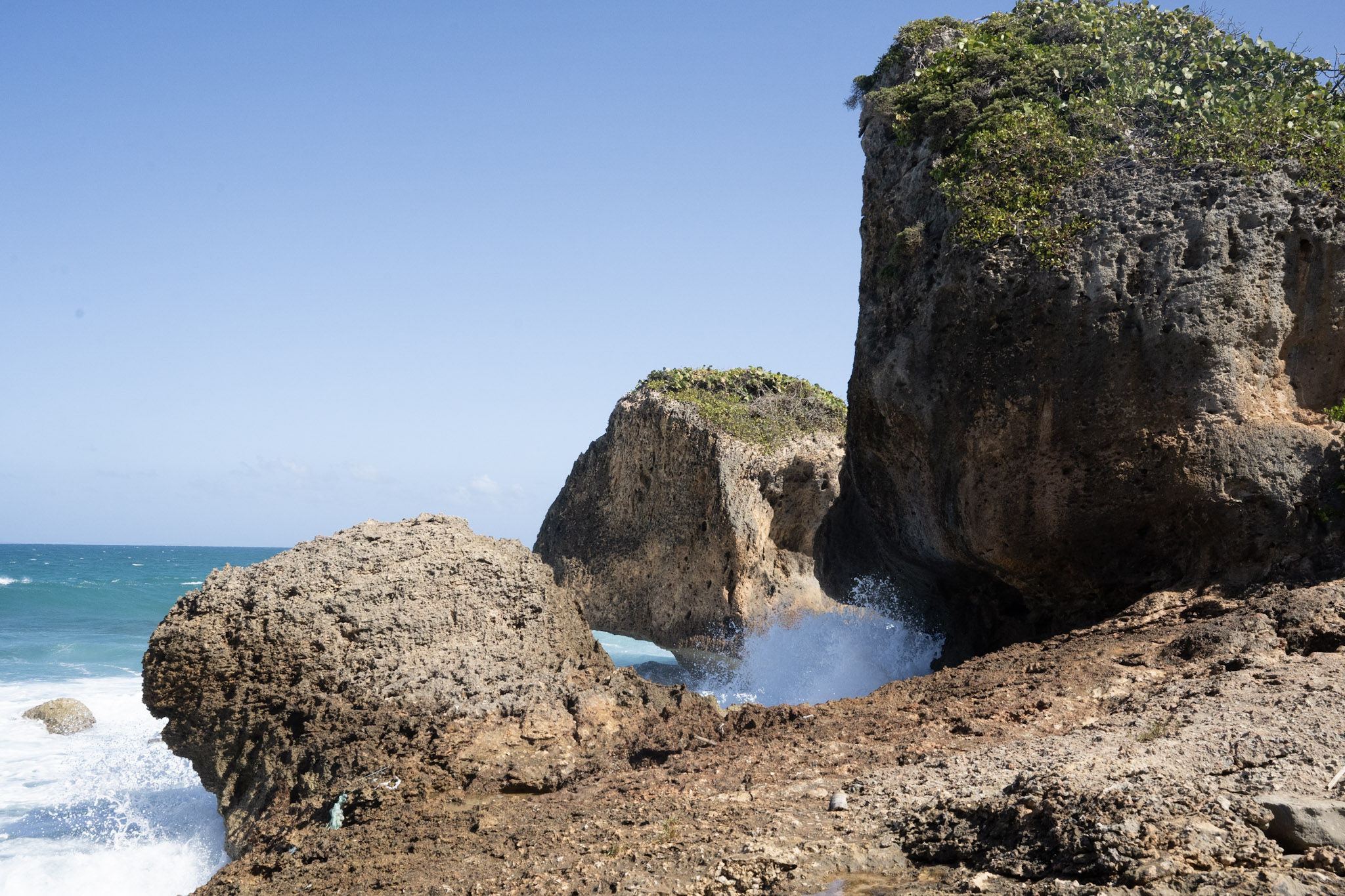 2022-12-26_Survivor_Beach - foto 33