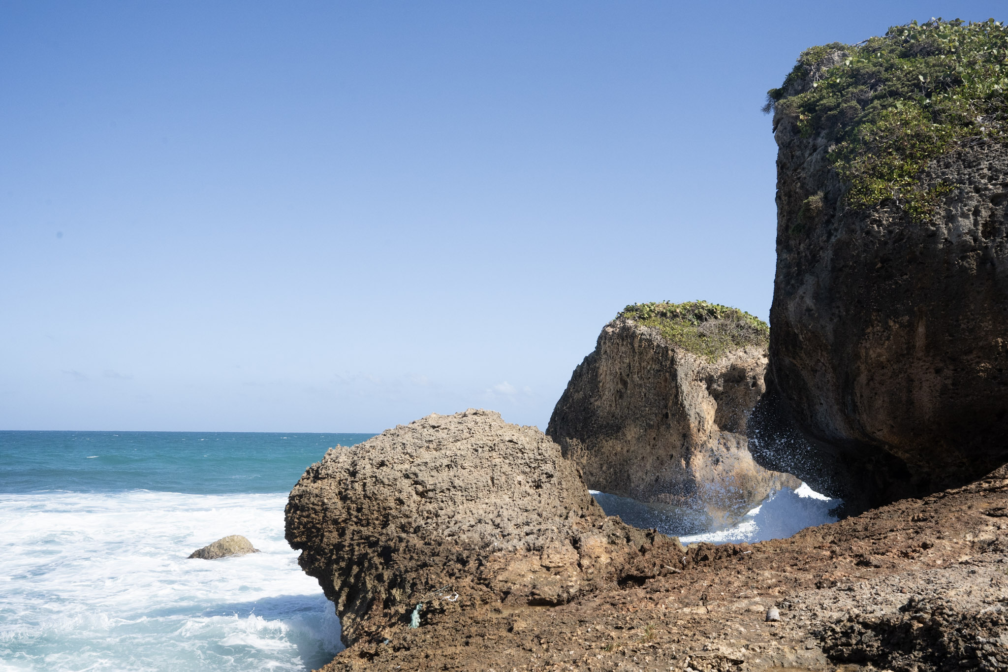 2022-12-26_Survivor_Beach - foto 34