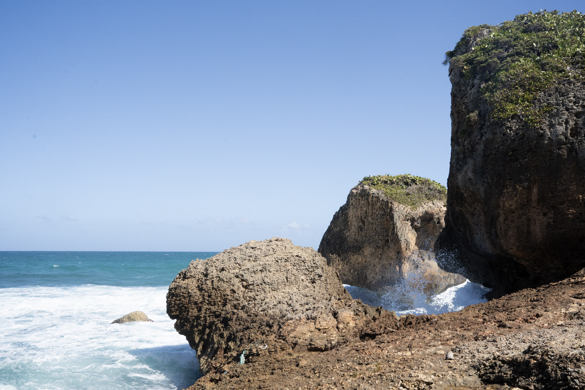 2022-12-26_Survivor_Beach - foto 36