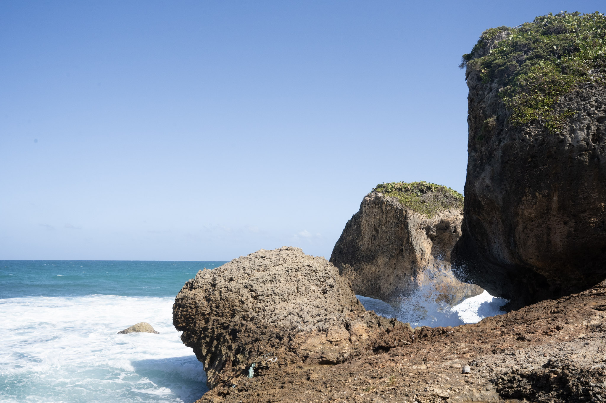 2022-12-26_Survivor_Beach - foto 37