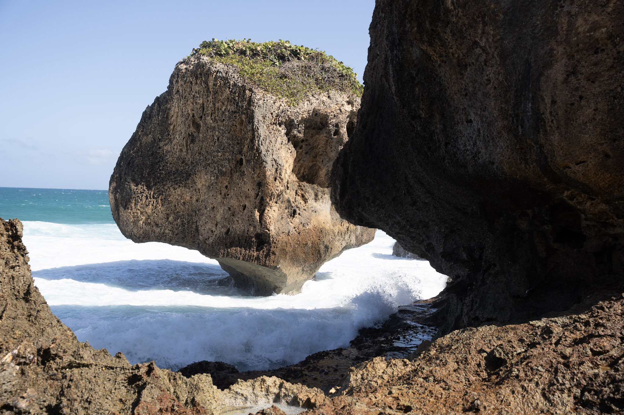 2022-12-26_Survivor_Beach - foto 46