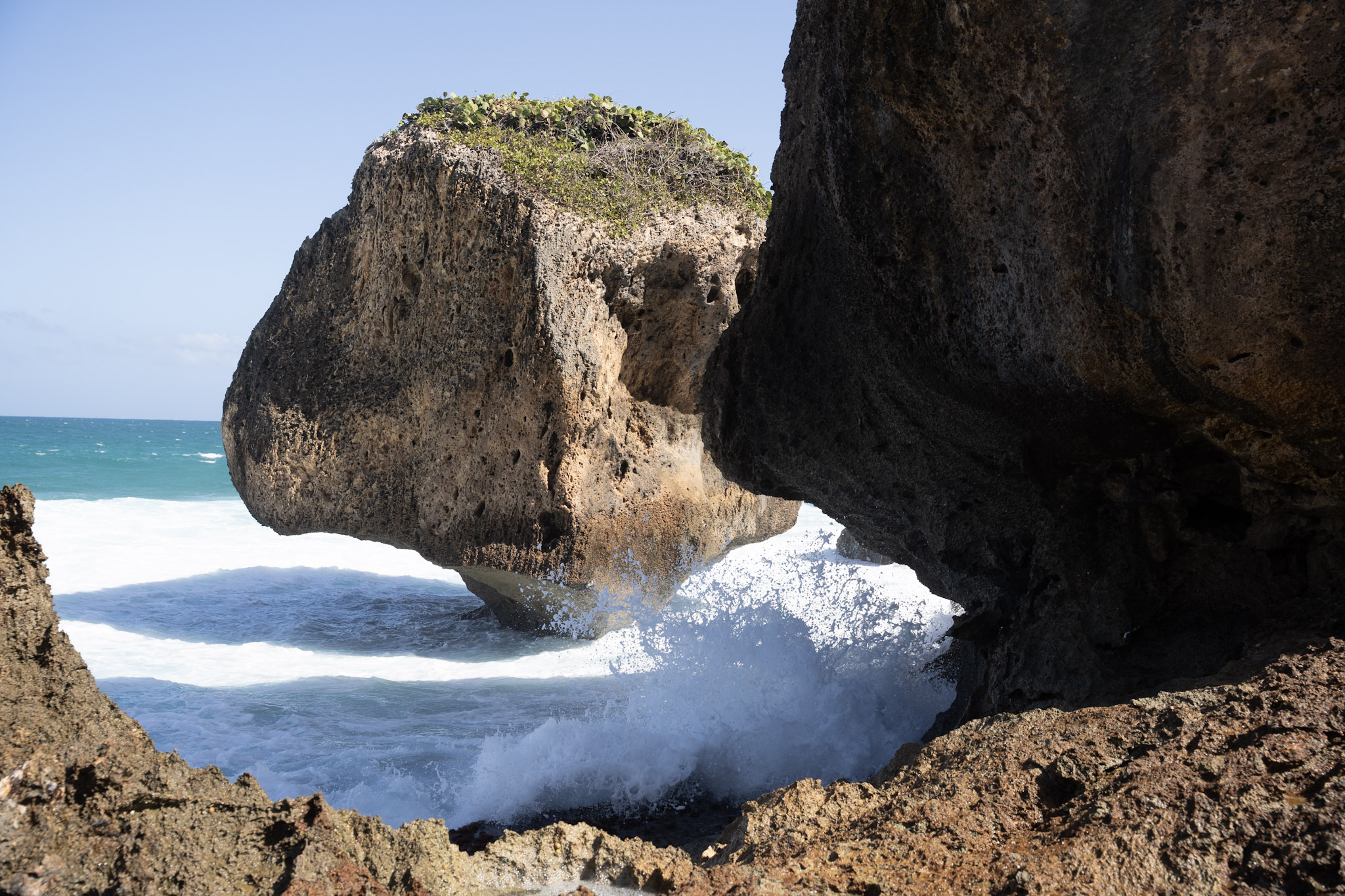 2022-12-26_Survivor_Beach - foto 50