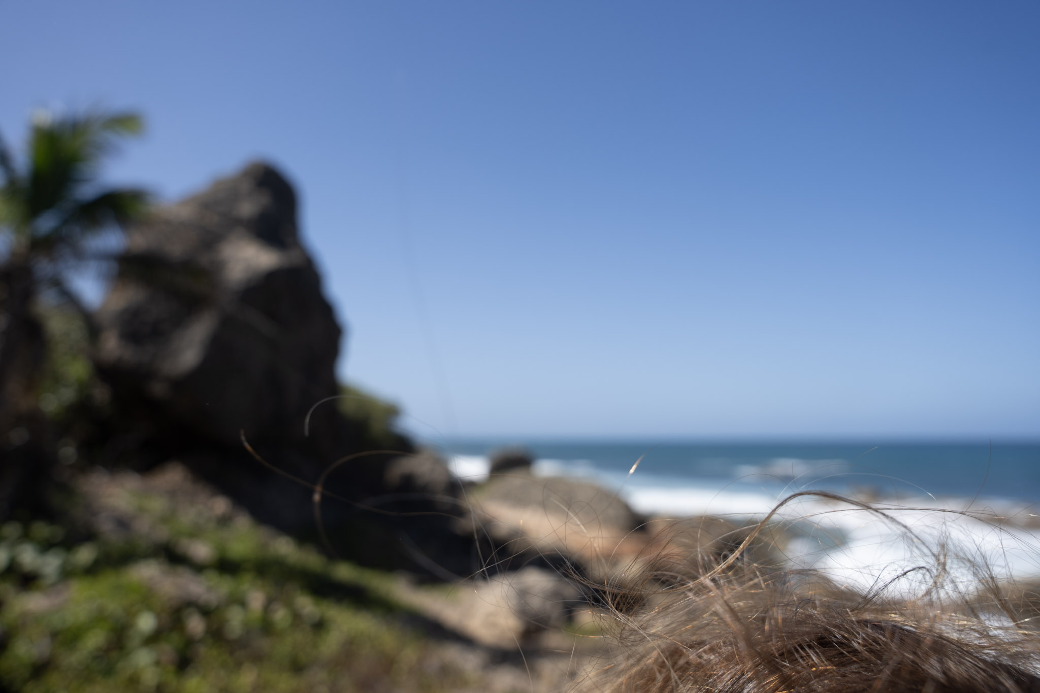 2022-12-26_Survivor_Beach - foto 56