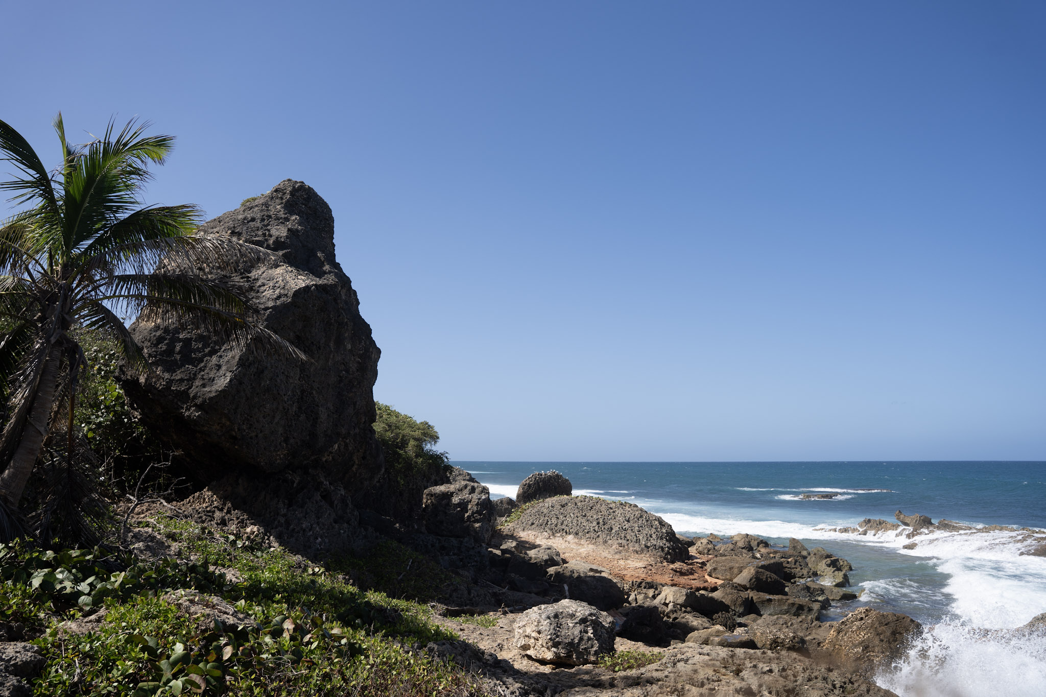 2022-12-26_Survivor_Beach - foto 57