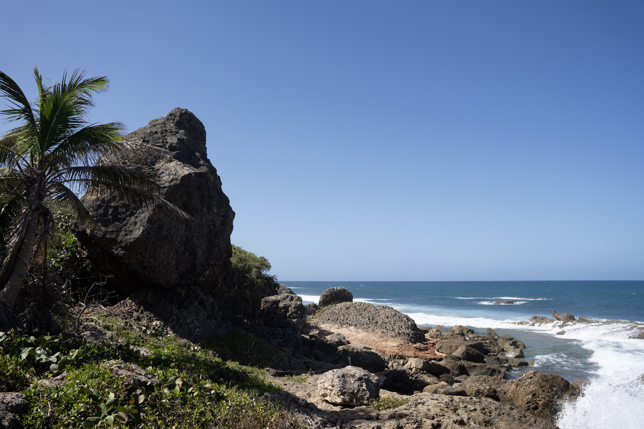 2022-12-26_Survivor_Beach - foto 58