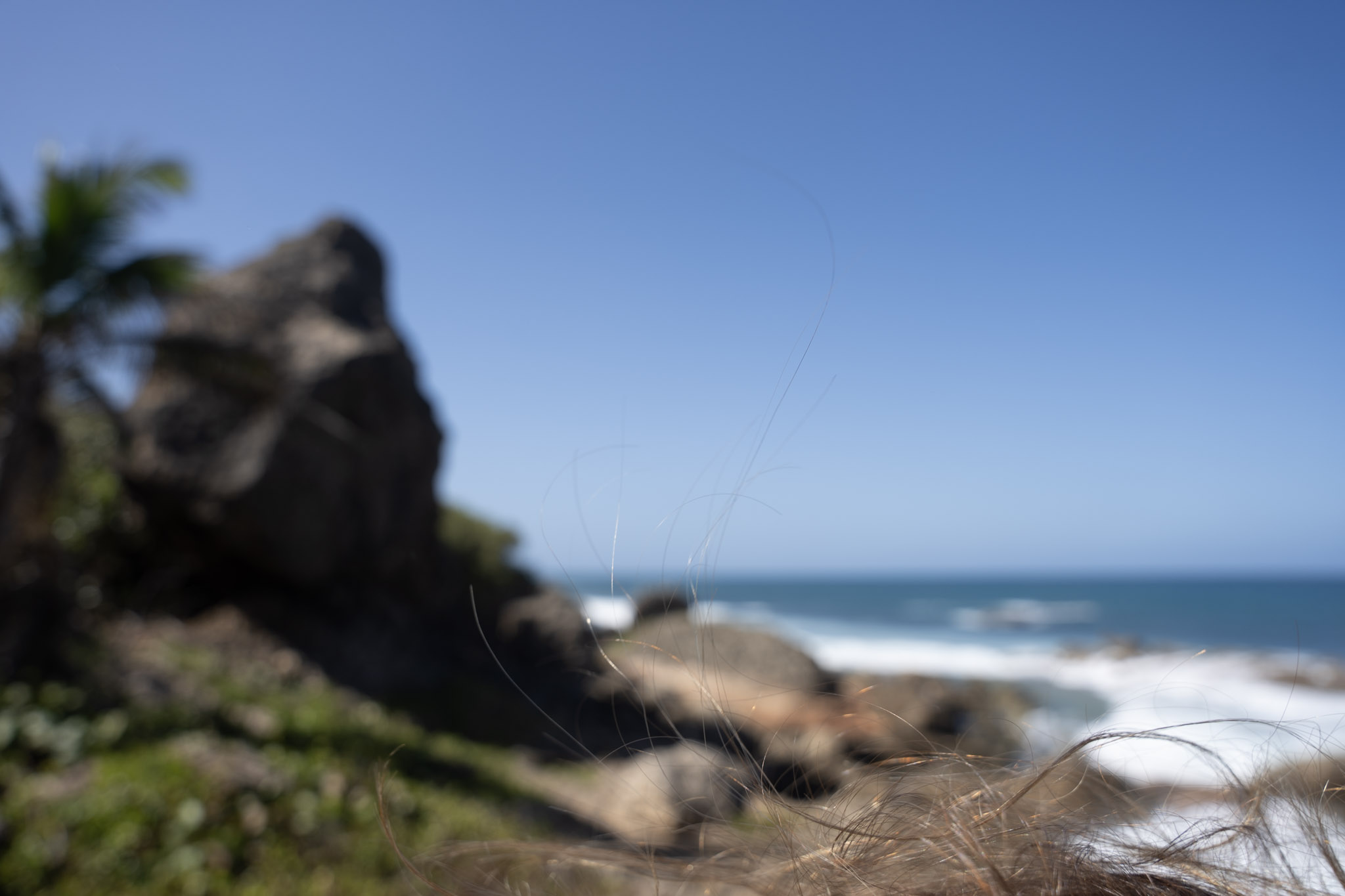 2022-12-26_Survivor_Beach - foto 59