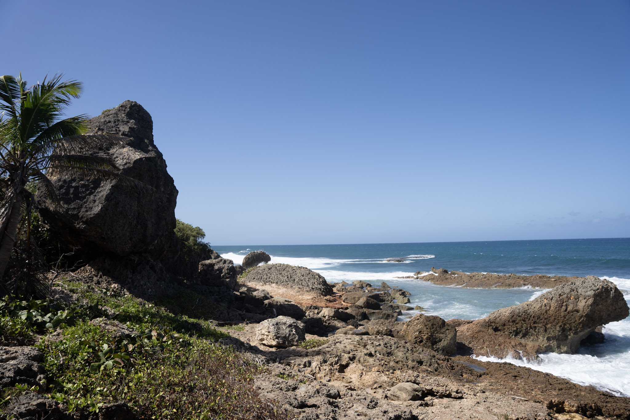 2022-12-26_Survivor_Beach - foto 67