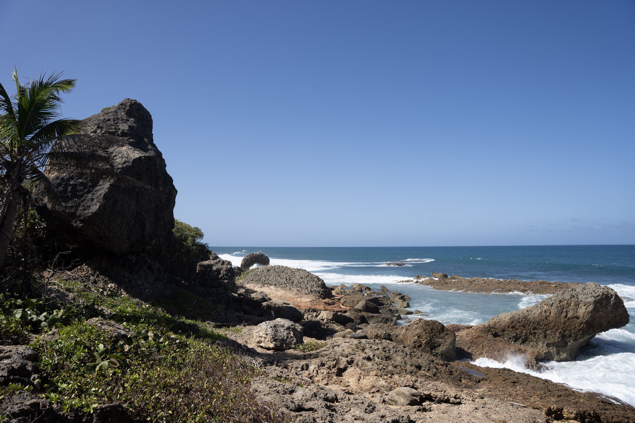 2022-12-26_Survivor_Beach - foto 68